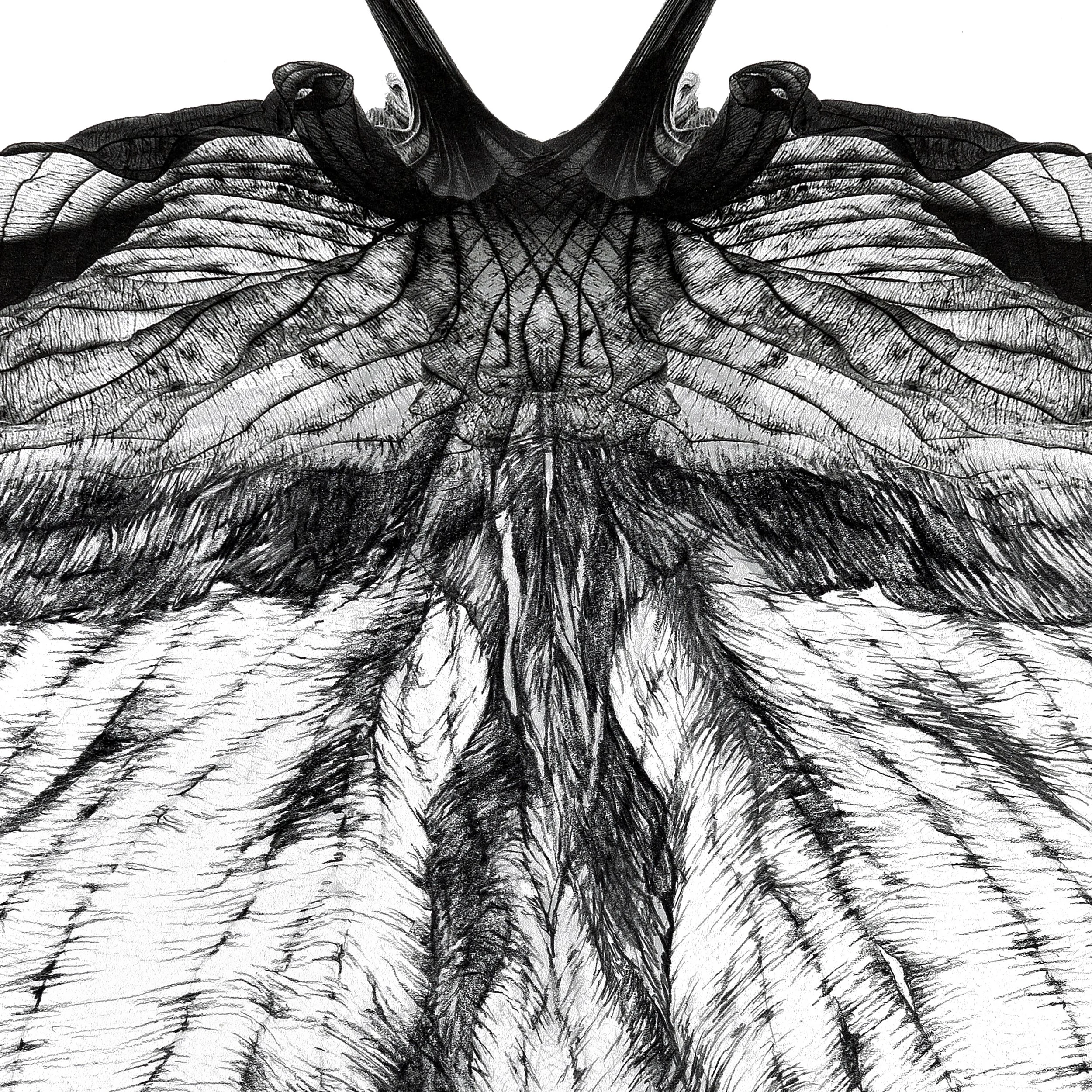 Le Papillon, 2022r. detal 1-kopia.jpg