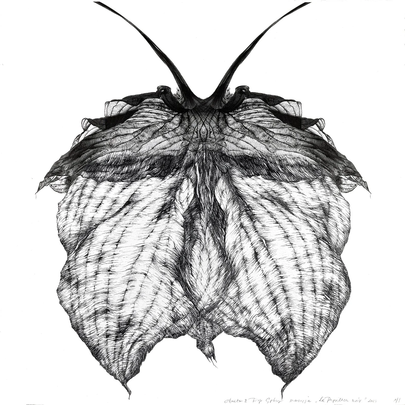 Le Papillon noir, 2023
30 x 30 cm