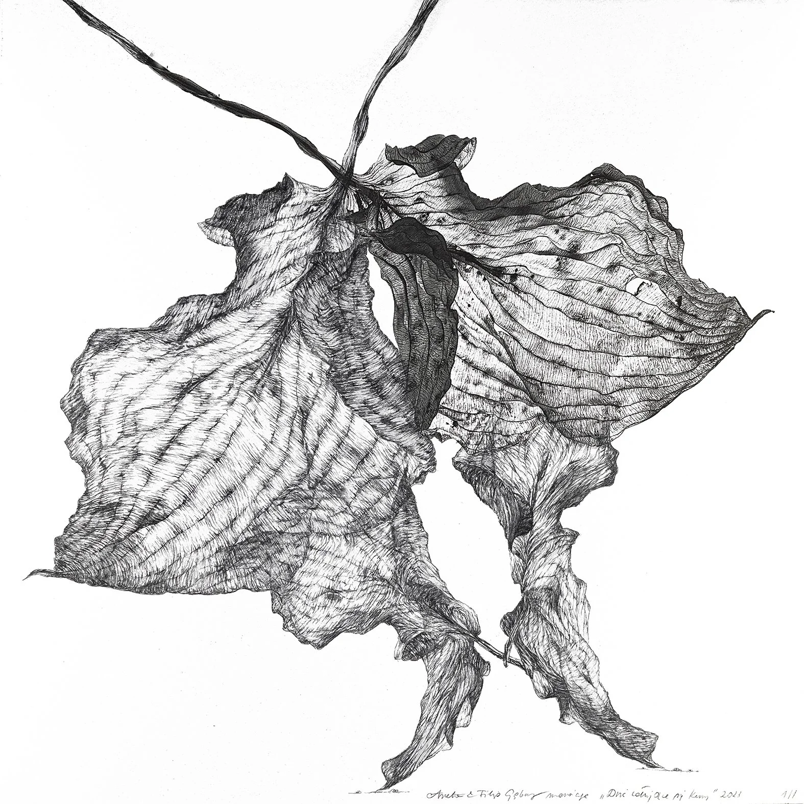 Dwie całujące się kury, 2023
30 x 30 cm