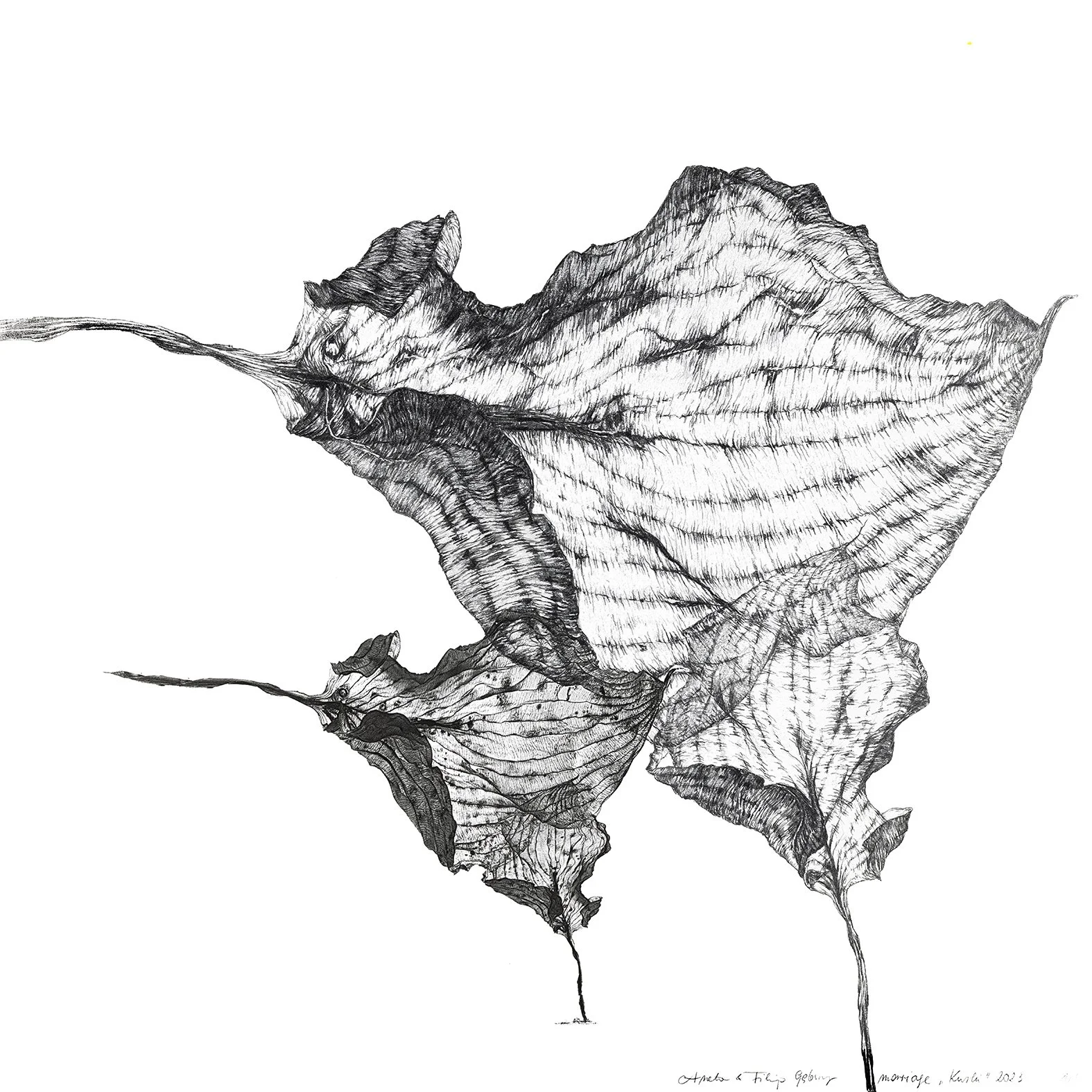 Kurki, 2023 30 x 30 cm