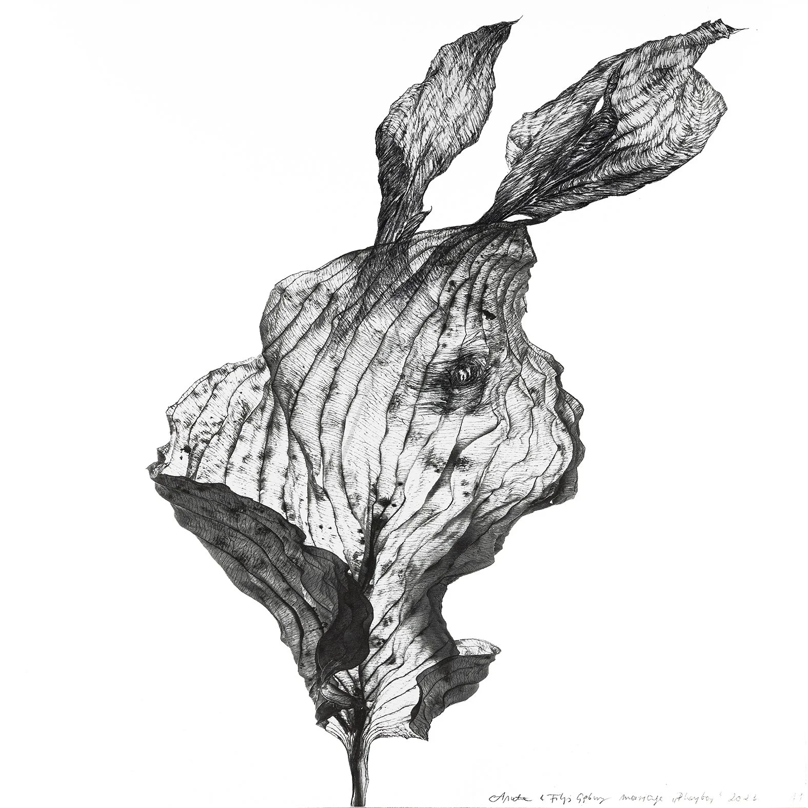 Playboy, 2023
30 x 30 cm