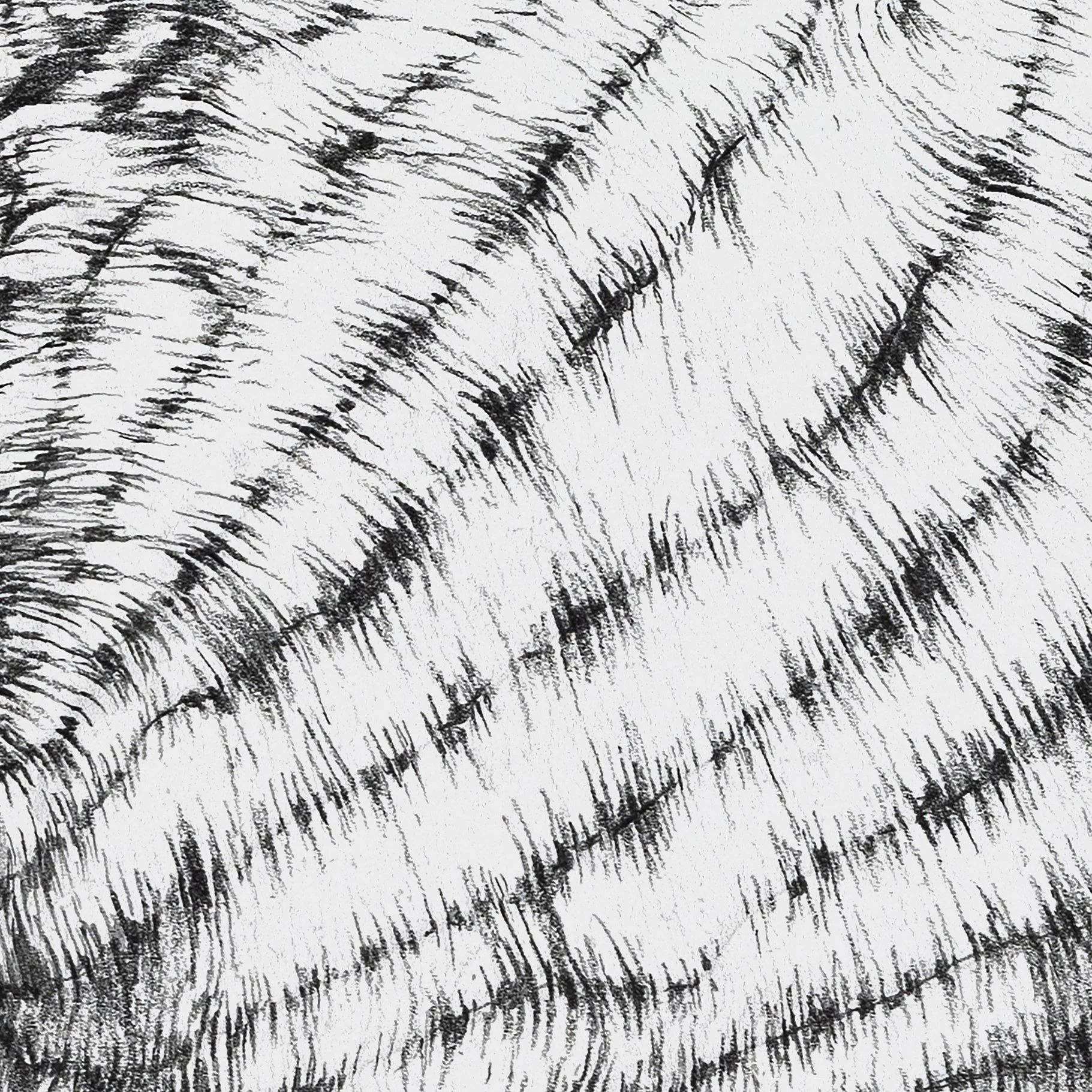 Welonka, 2023r. detal 1-kopia.jpg