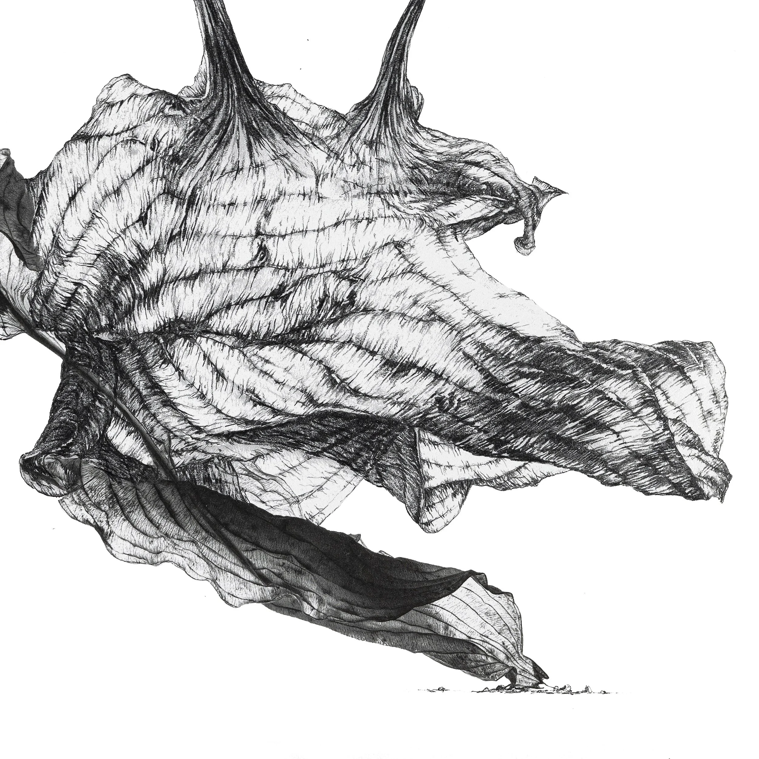 Crocodylinac, 2023r. detal 1-kopia 2.jpg