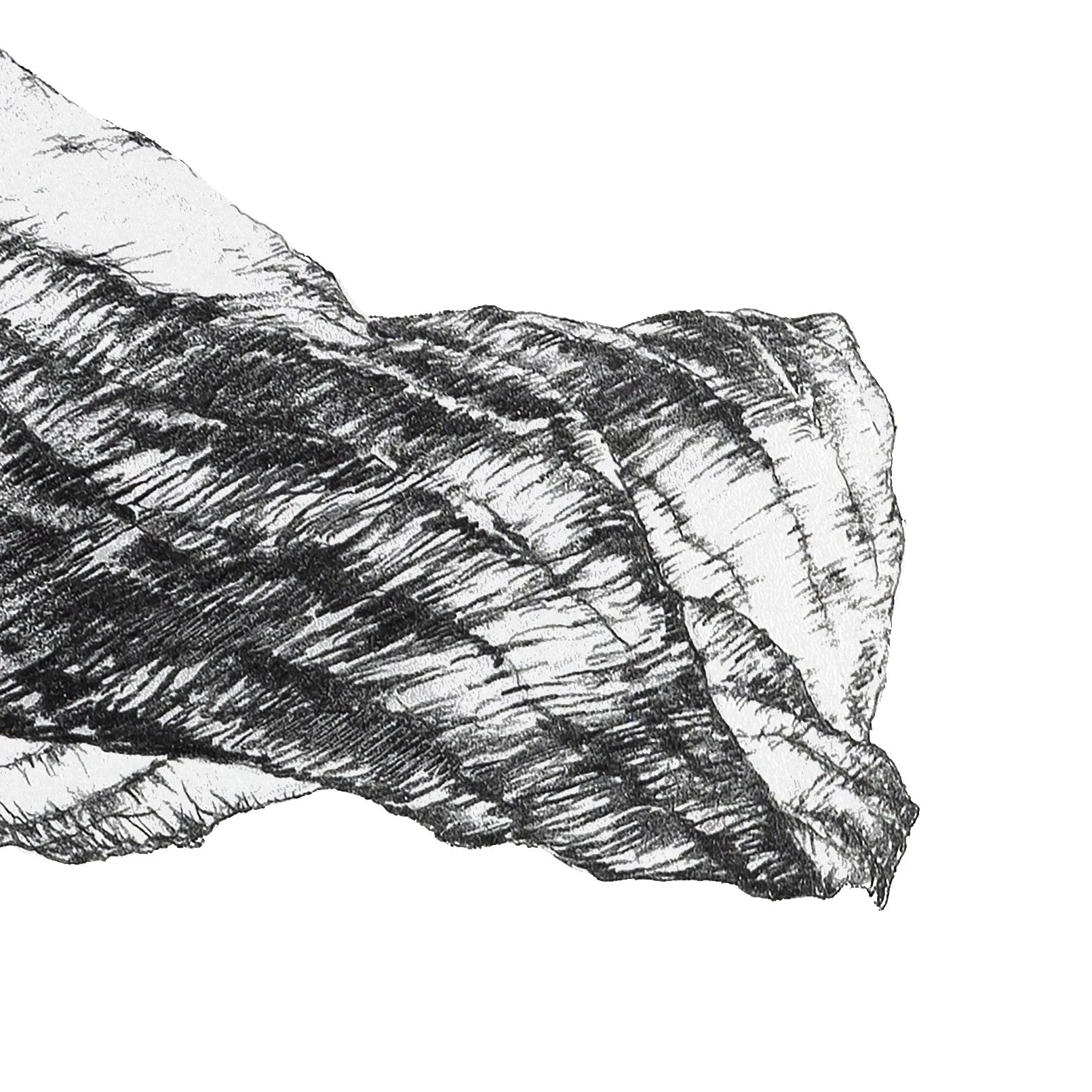 Crocodylinac, 2023r. detal 1-kopia 3.jpg