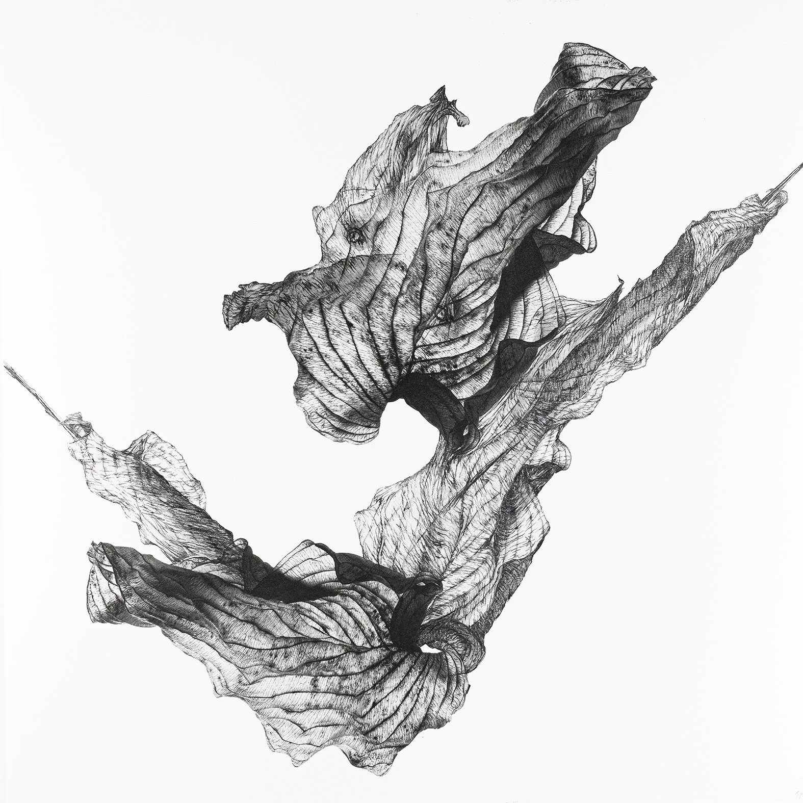 Arlequin, 2023
30 x 30 cm
