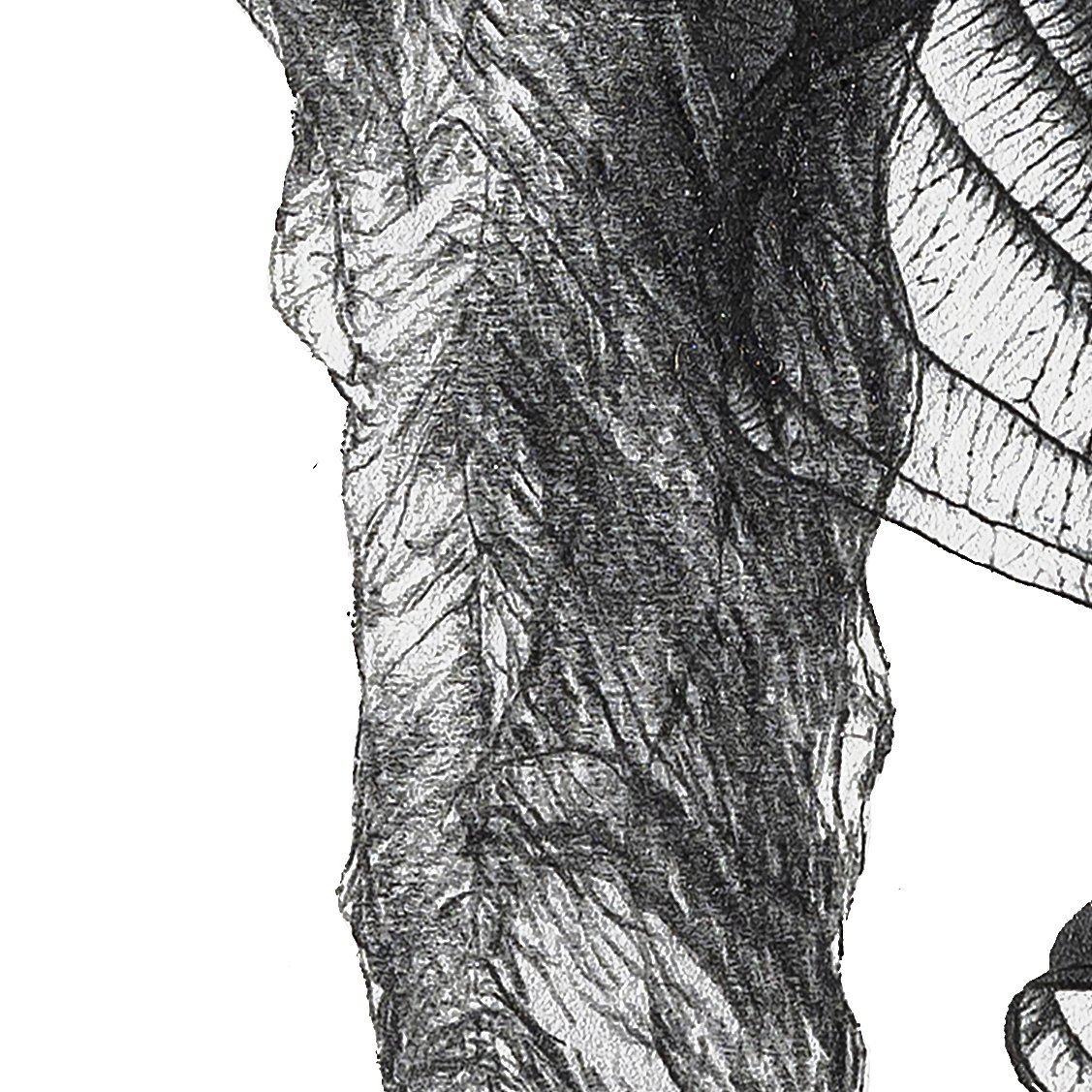 Backdog, 2022r. detal 3.jpg