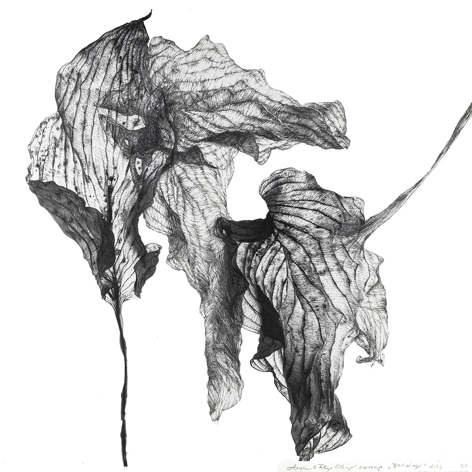 Backdog, 2023
30 x 30 cm