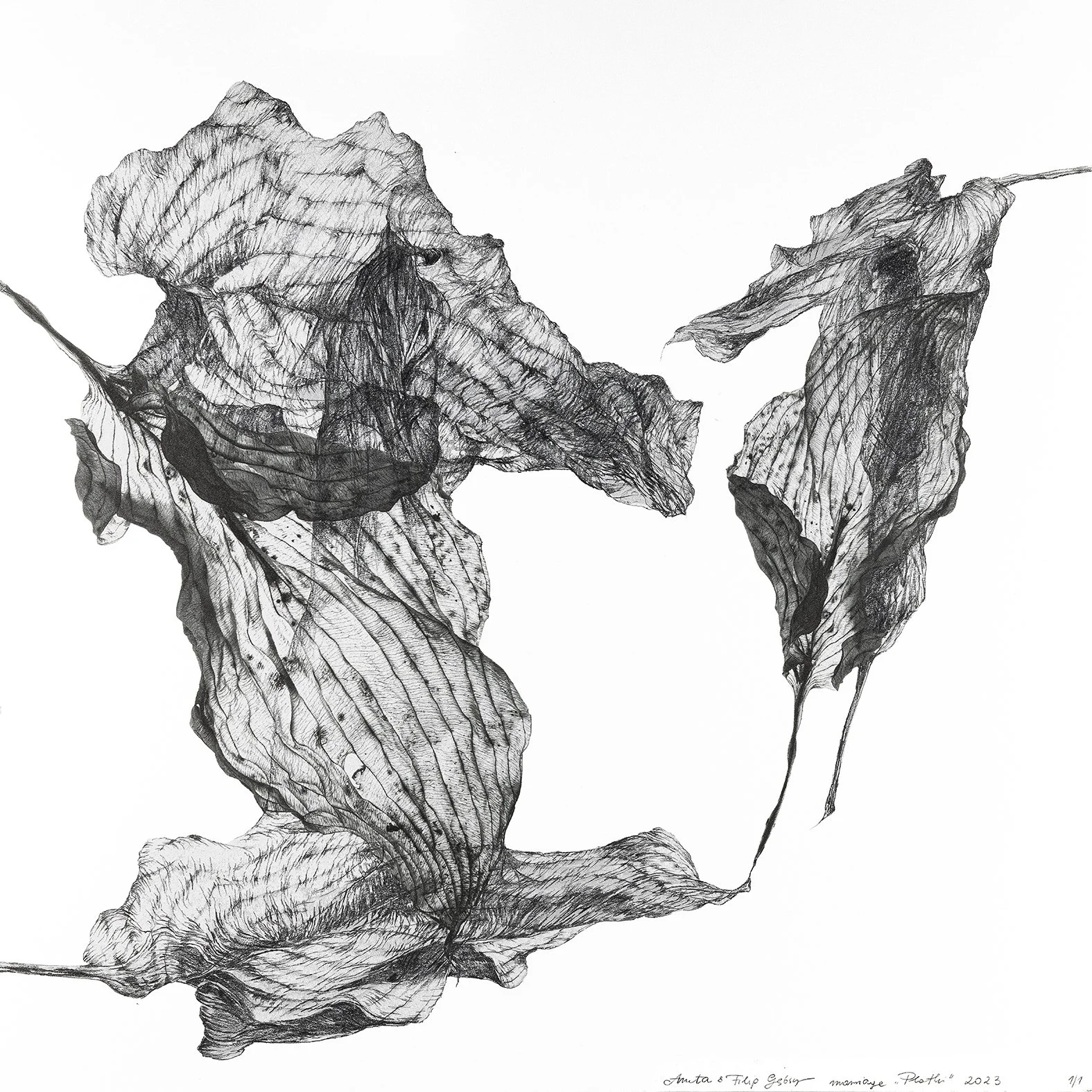 Plotki, 2023 30 x 30 cm