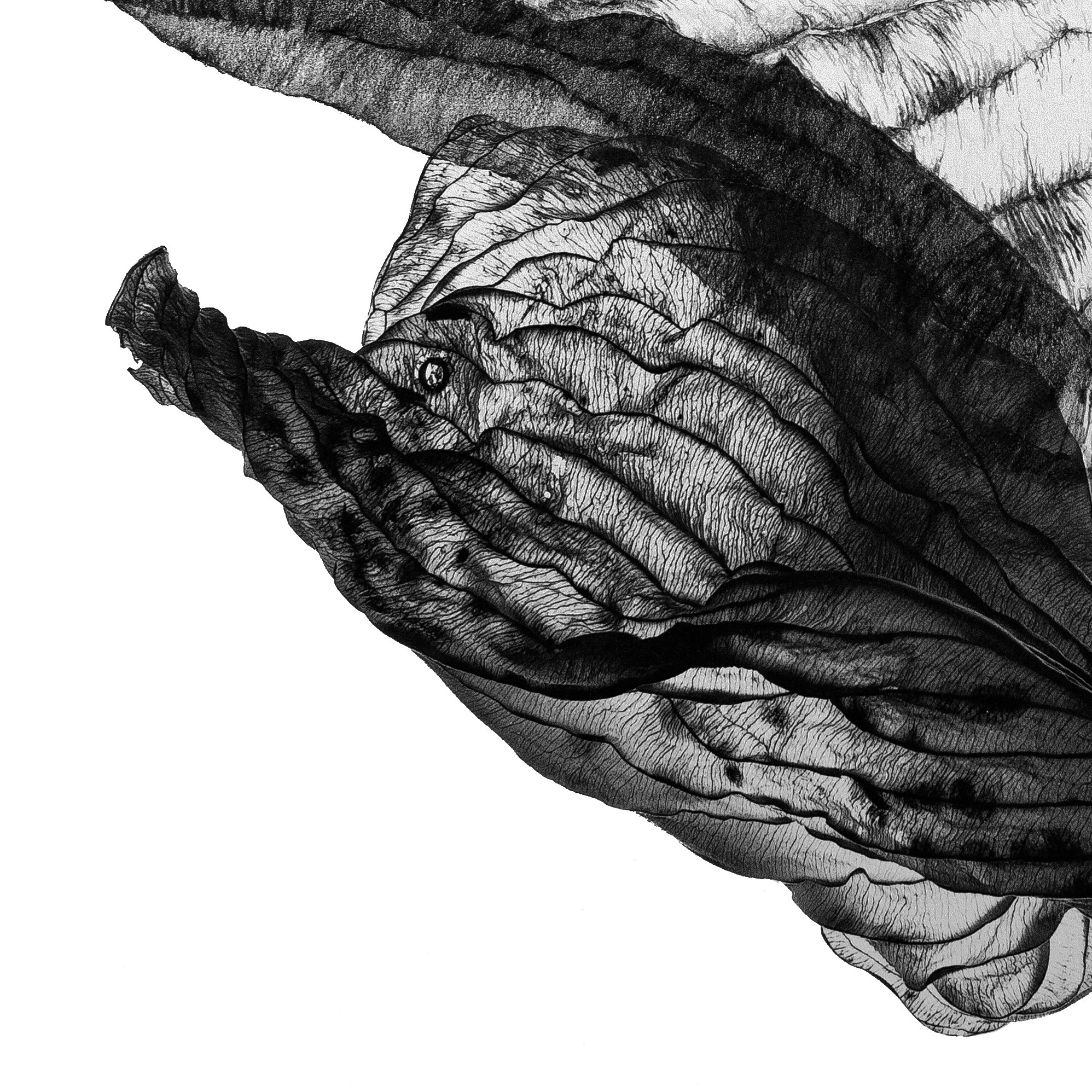 Pisces, 2022r. detal 1-kopia.jpg
