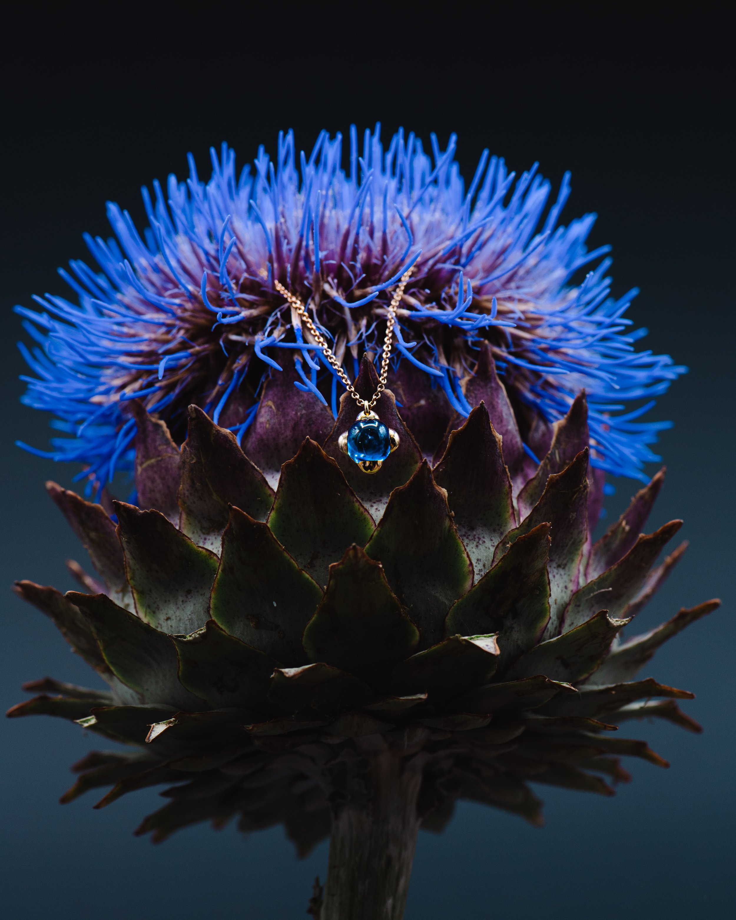 Silberne Halskette mit blauer Kugel an einer Art blauer und lila Blume, die auf einer großen, grünen Pflanze wächst.