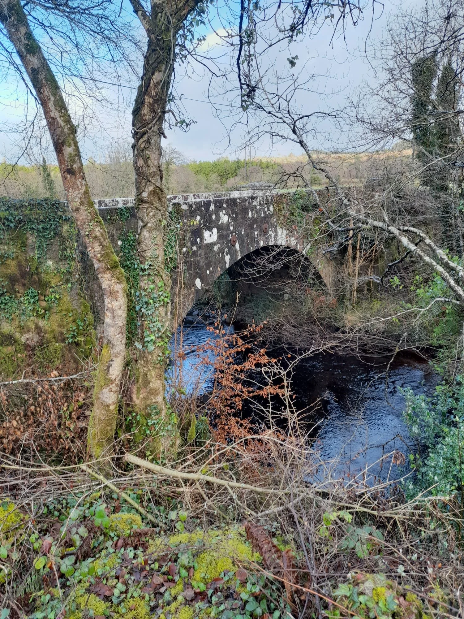 Stone arch bridge over a river, surrounded by trees with some foliage, under a cloudy sky.