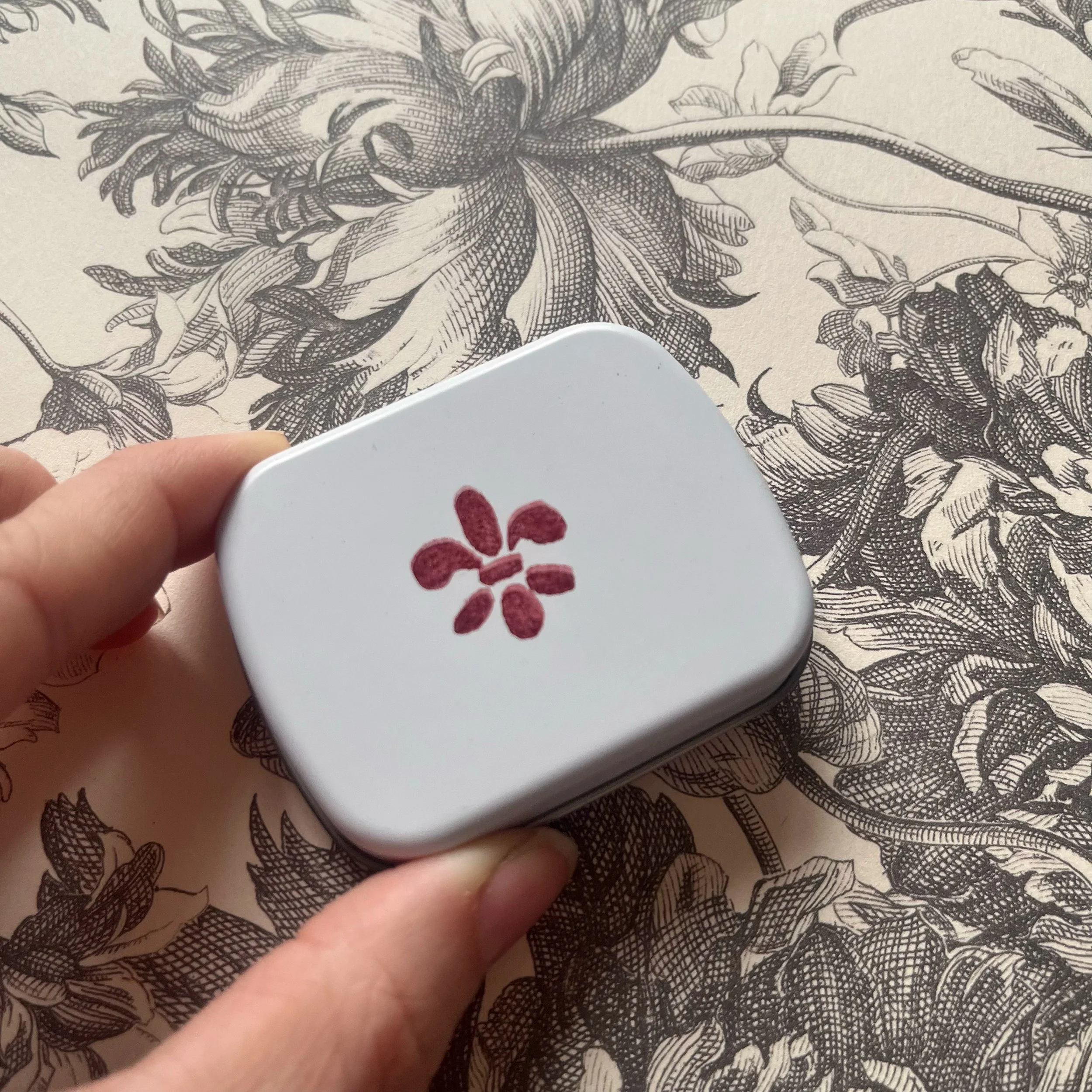 IMG_1238.jpg (copia) (copia)