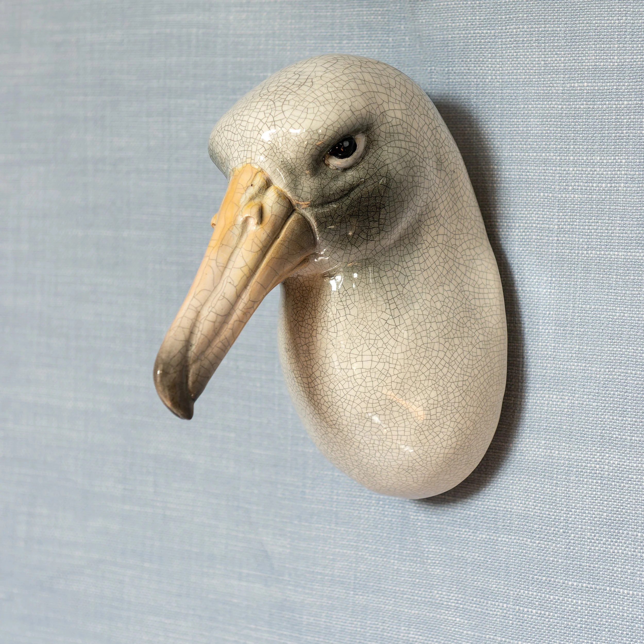 Albatross