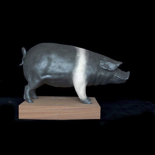 Large Pig