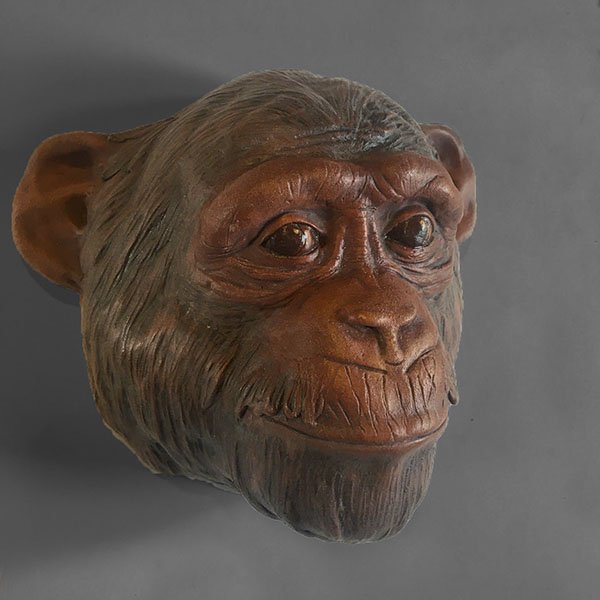 Chimp