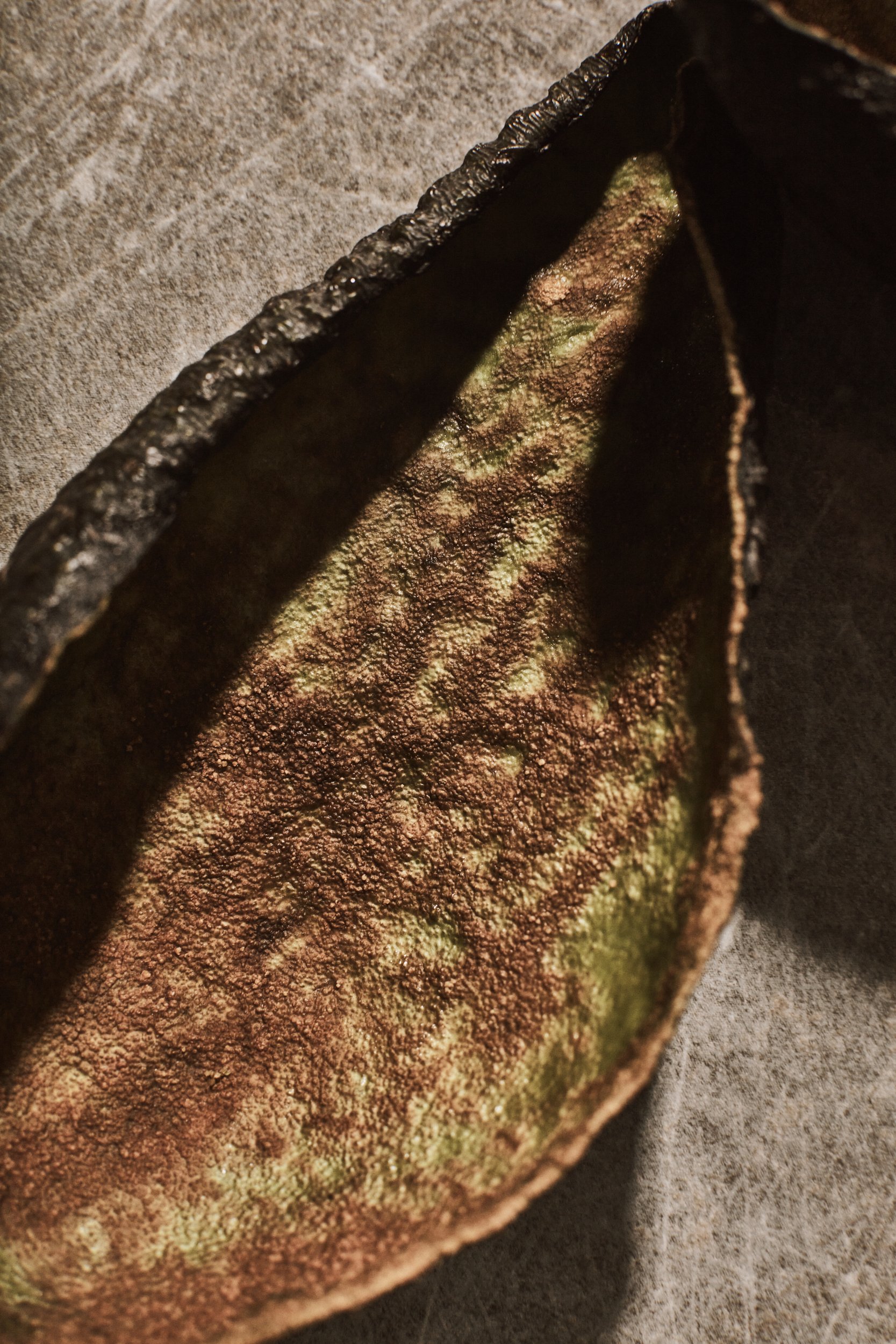 Ambivalence_stilleben_plast_planet_konsumtion_mat 4.jpg