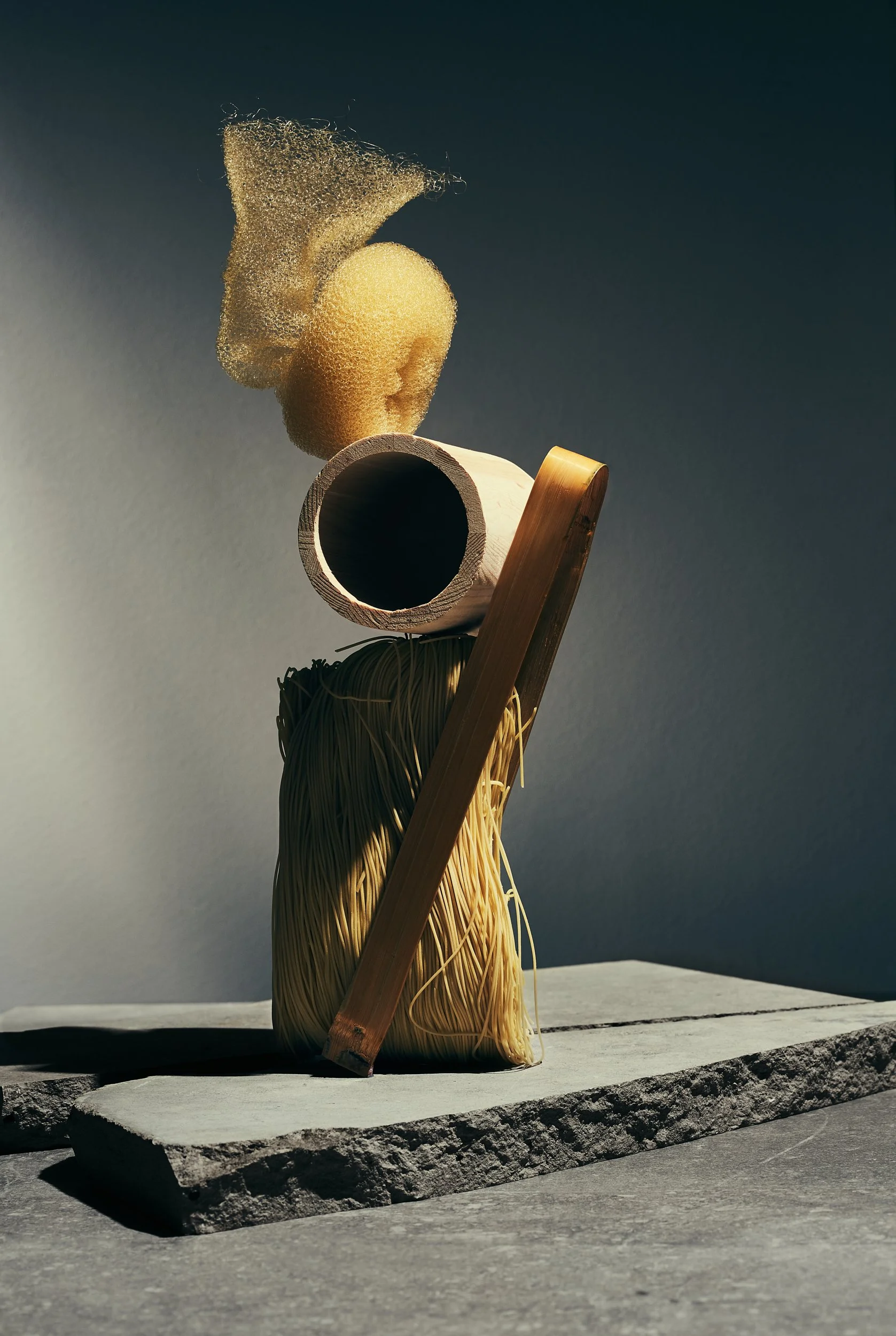 Stilleben_monument_av_samtiden_ nudlar_svamp_rulle.jpg