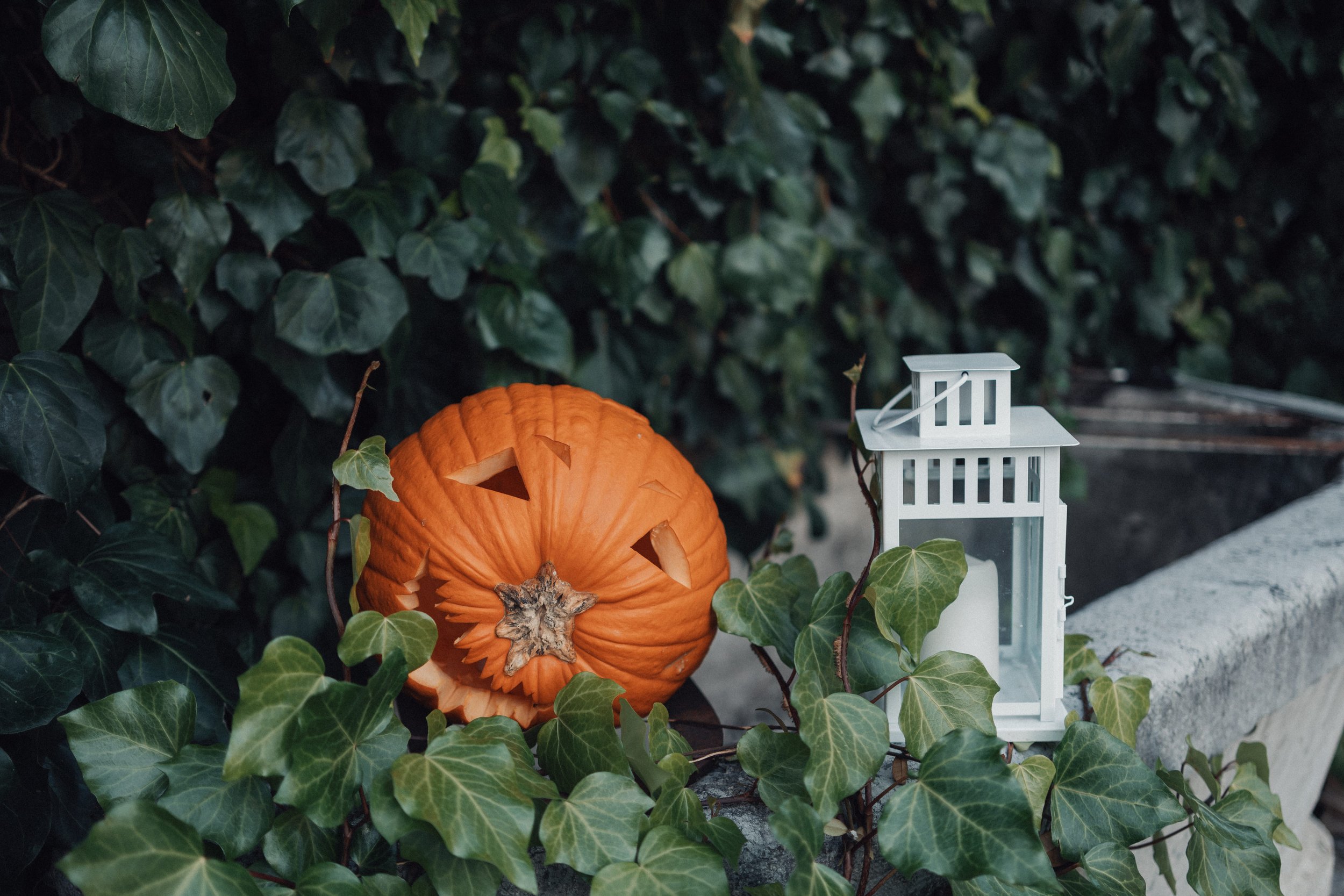 Halloween party planning, organise a halloween party in Switzerland.jpg