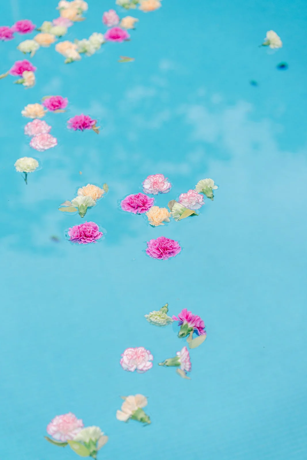 pool party planning geneva switzerland.jpg