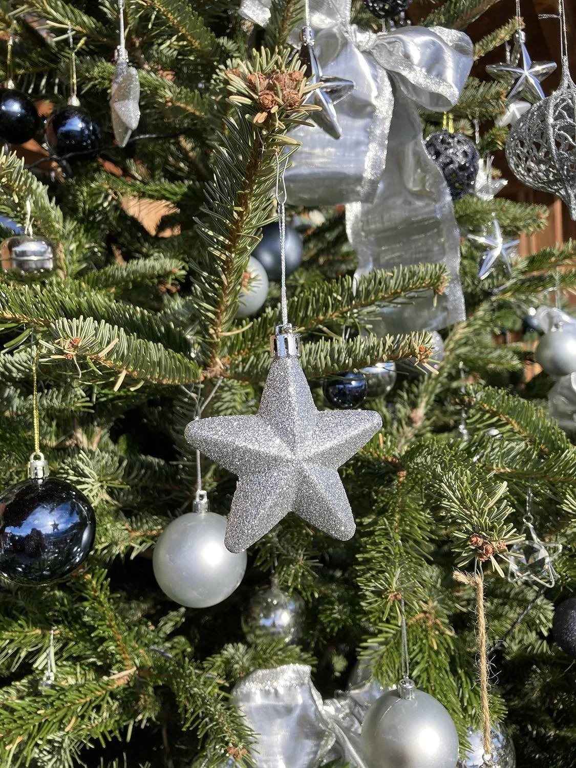 Christmas tree decoration Geneva, Swiss Alps, French Alps