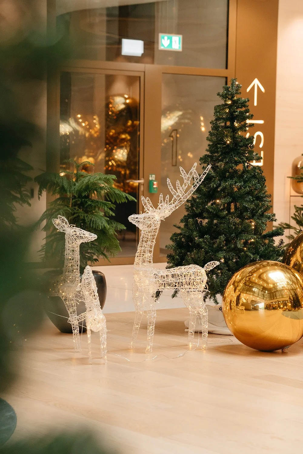 decoration noel bureau genève5.jpg