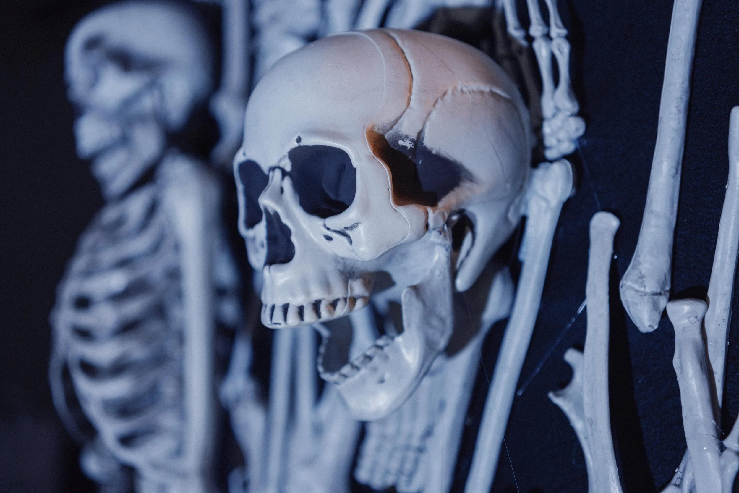 Halloween party planning, organise a halloween party in Switzerland.jpg