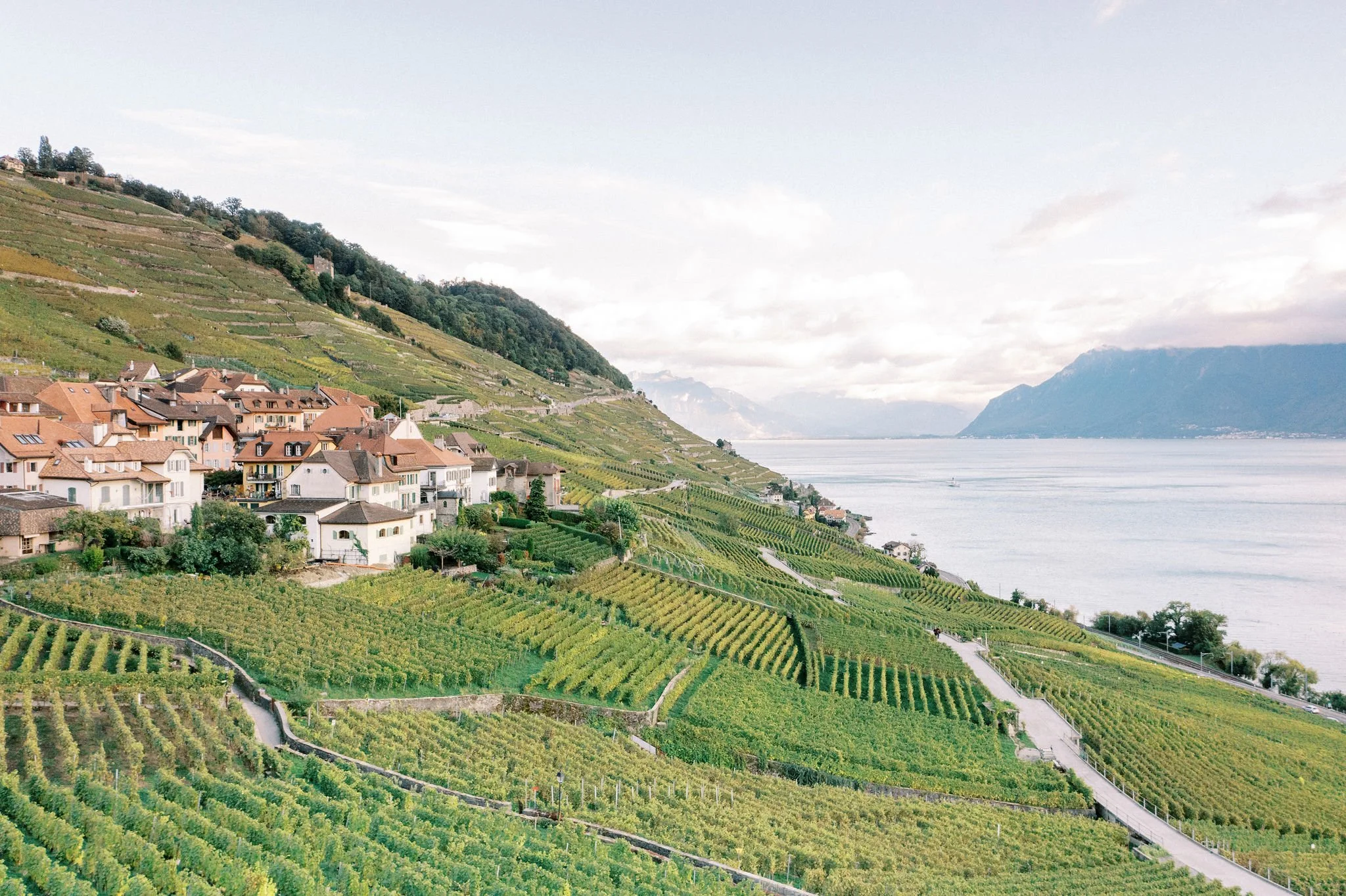 swiss vineyards wedding lake view 11.jpg