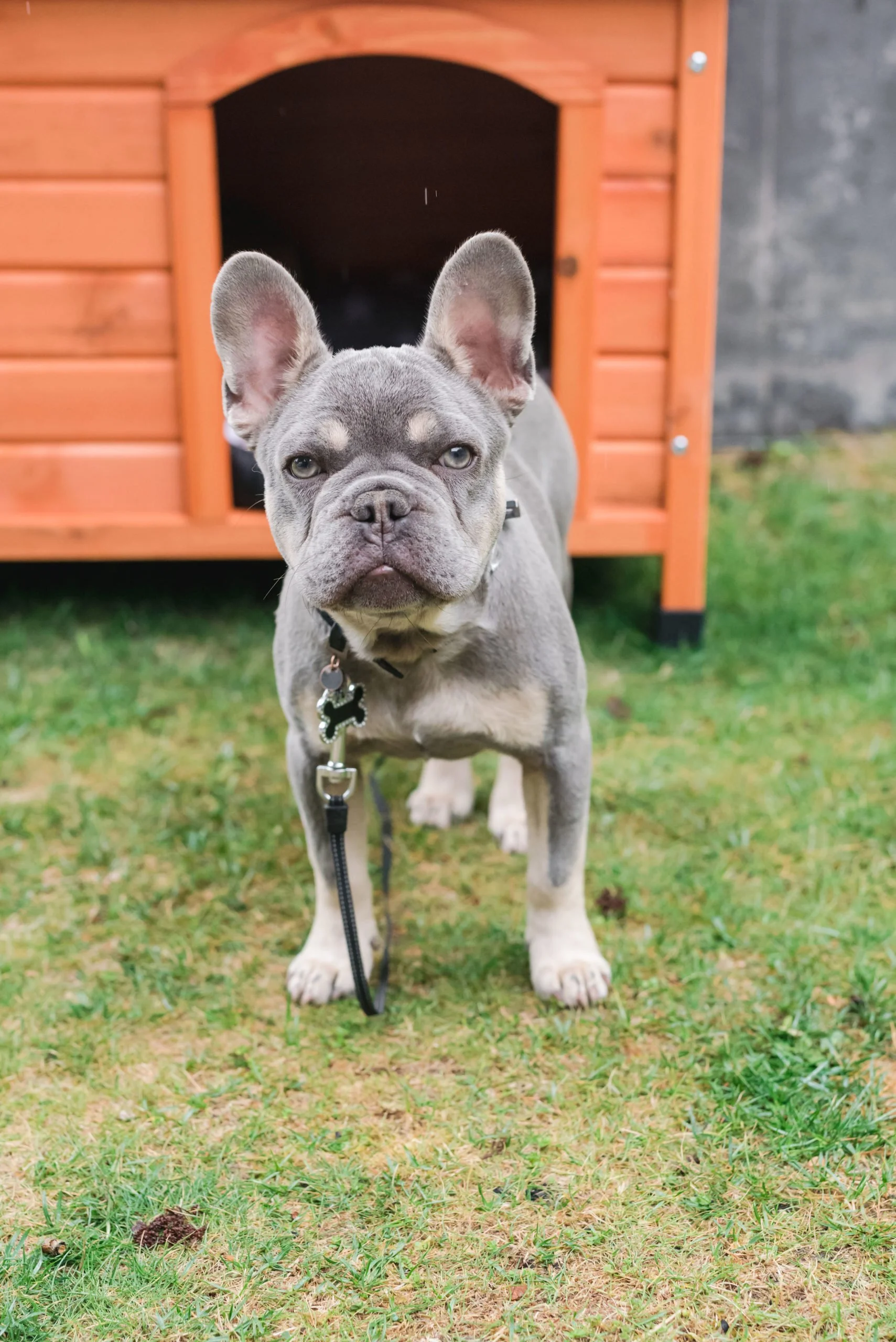 PINK BIRTHDAY PARTY GENEVA7.jpg