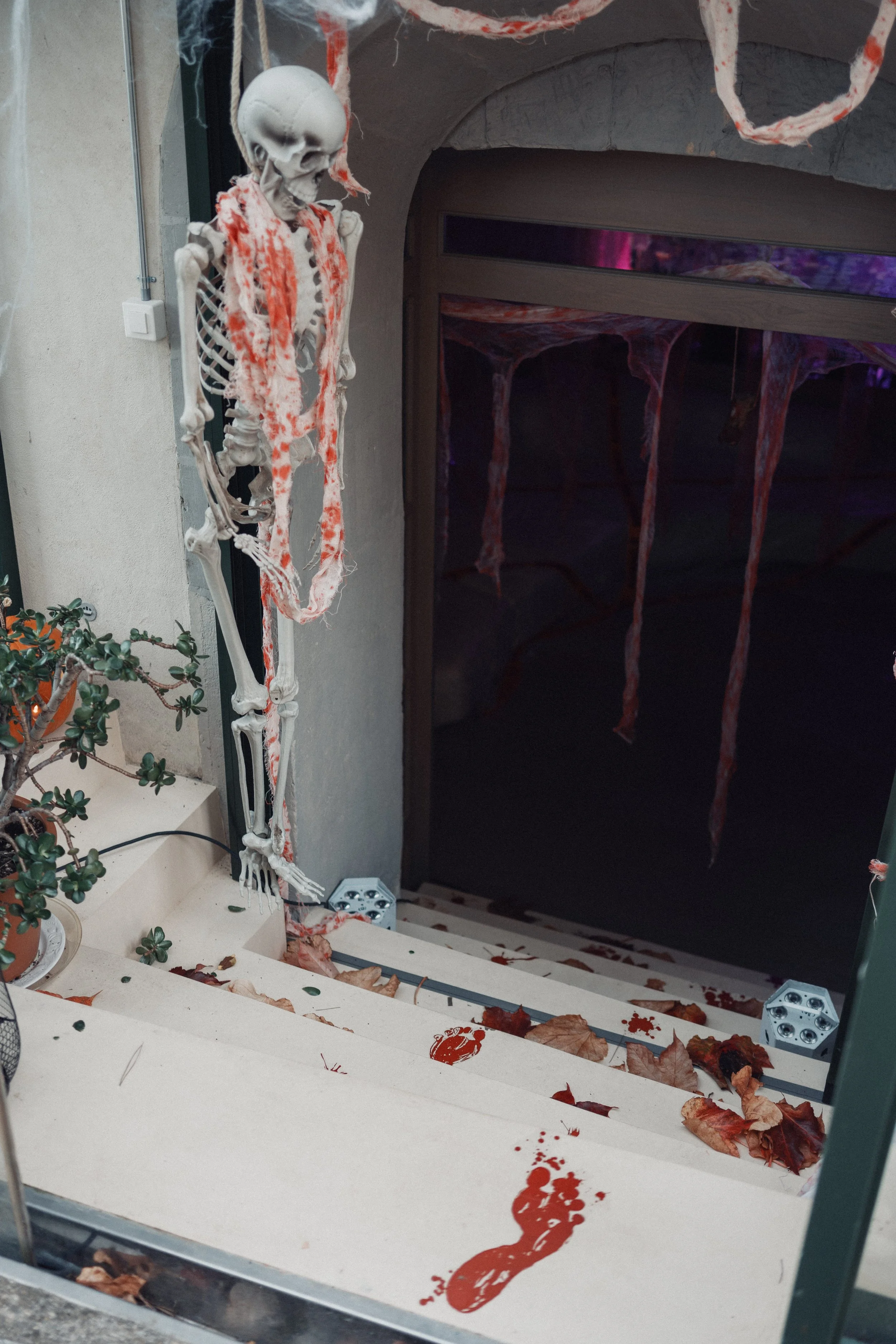 Halloween party planning, organise a halloween party in Switzerland.jpg