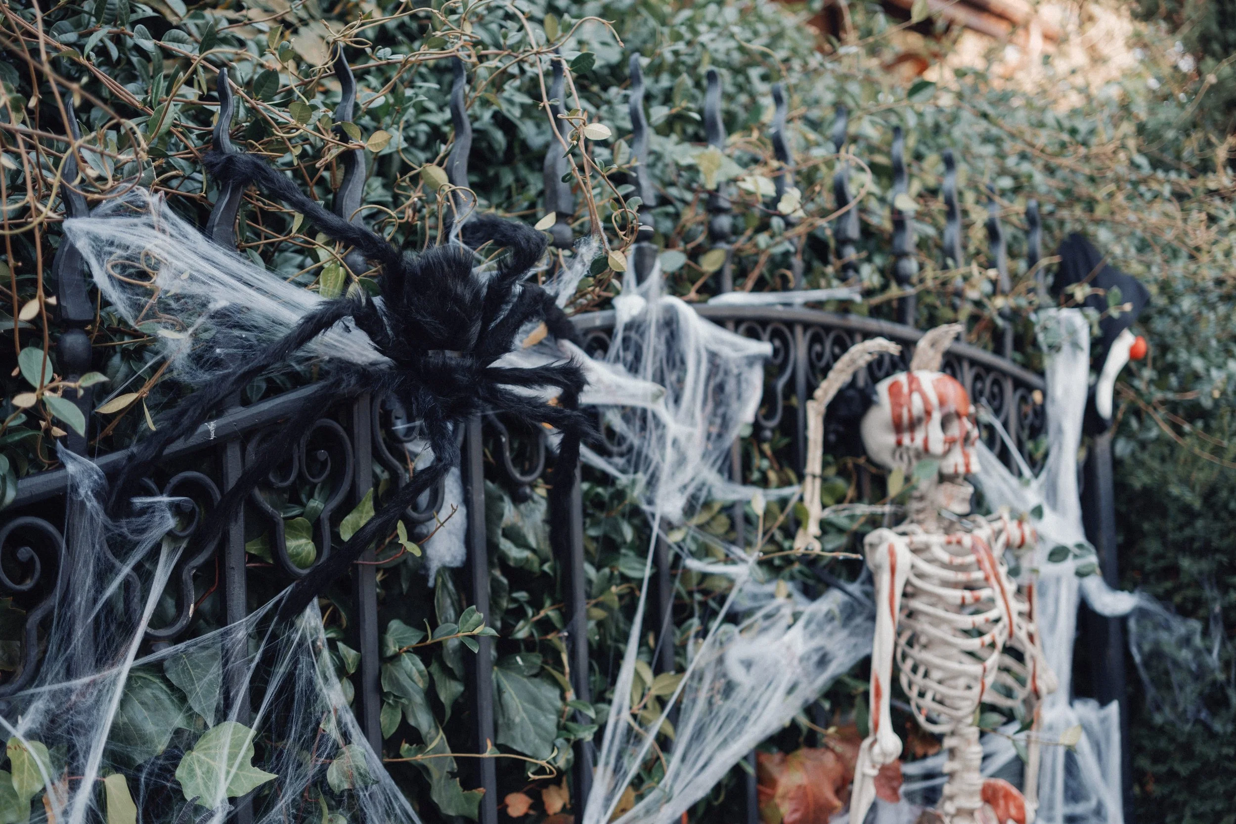 Halloween party planning, organise a halloween party in Switzerland.jpg