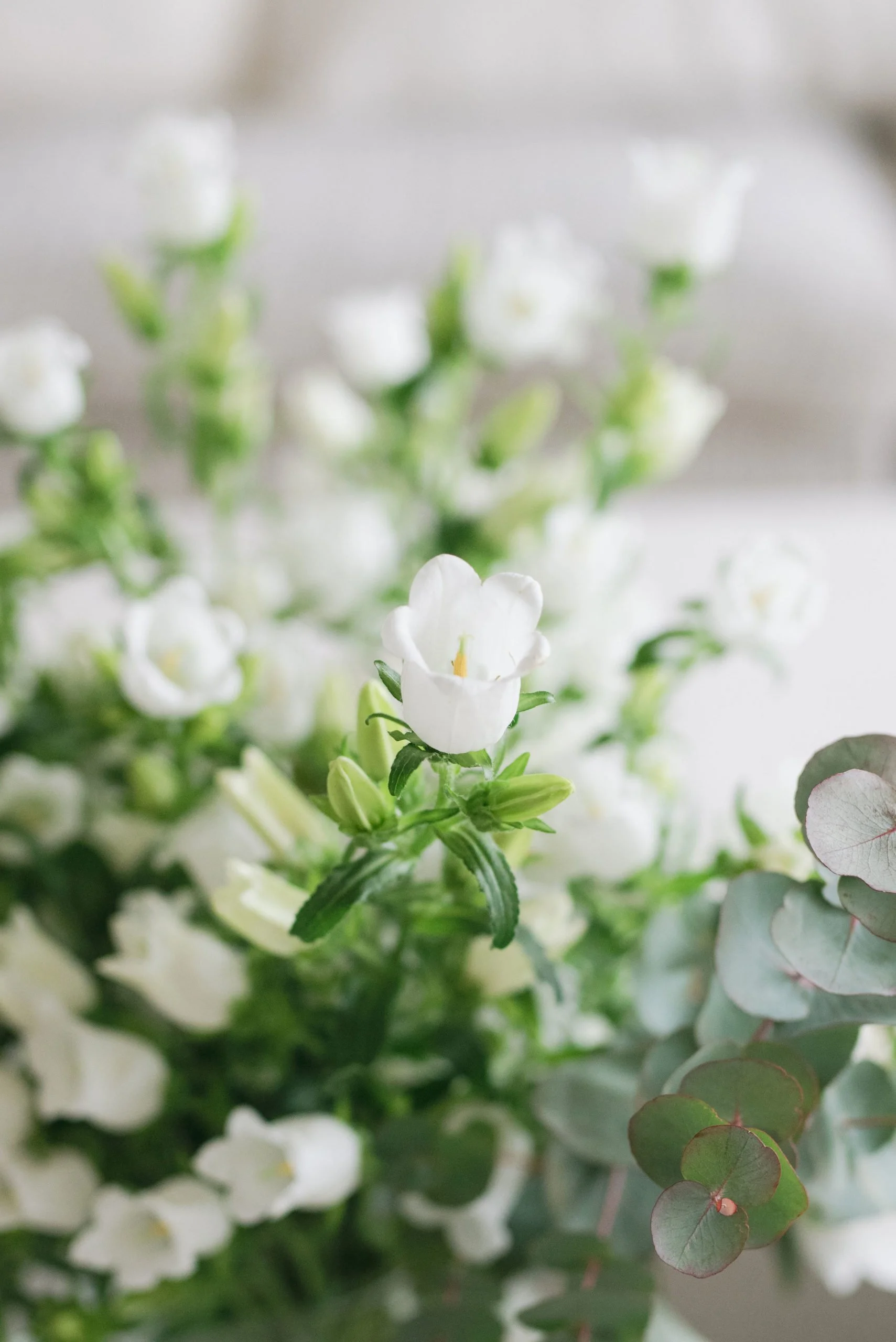 PINK BIRTHDAY PARTY GENEVA1.jpg