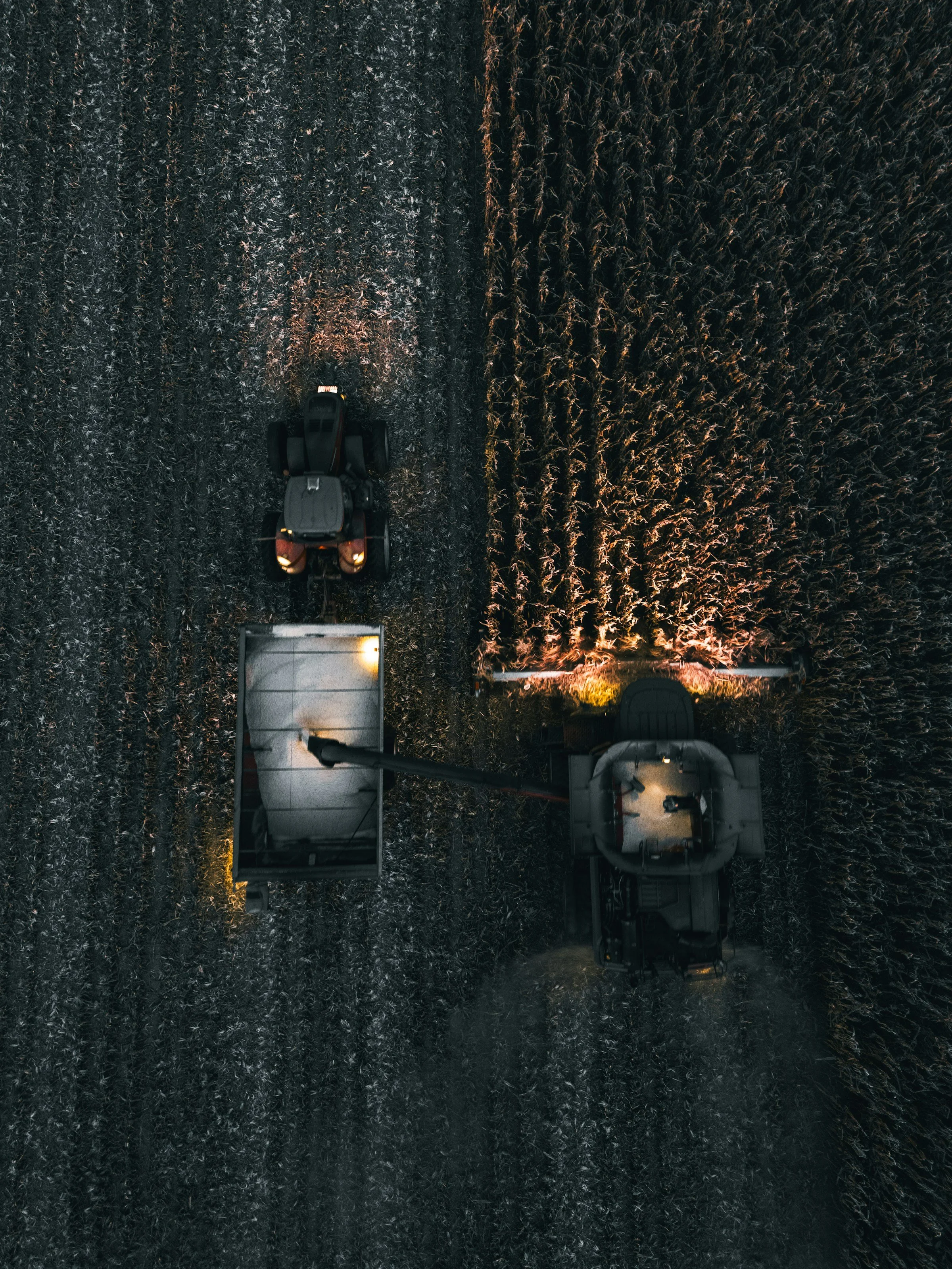 🌾 De oogst is groot