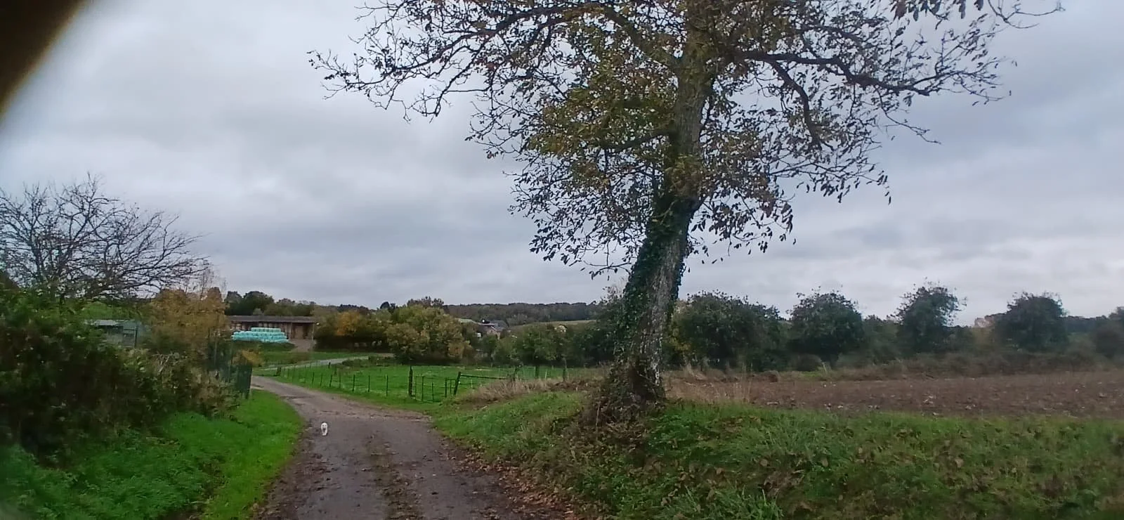 🌿 Herfst – zichtbaar worden