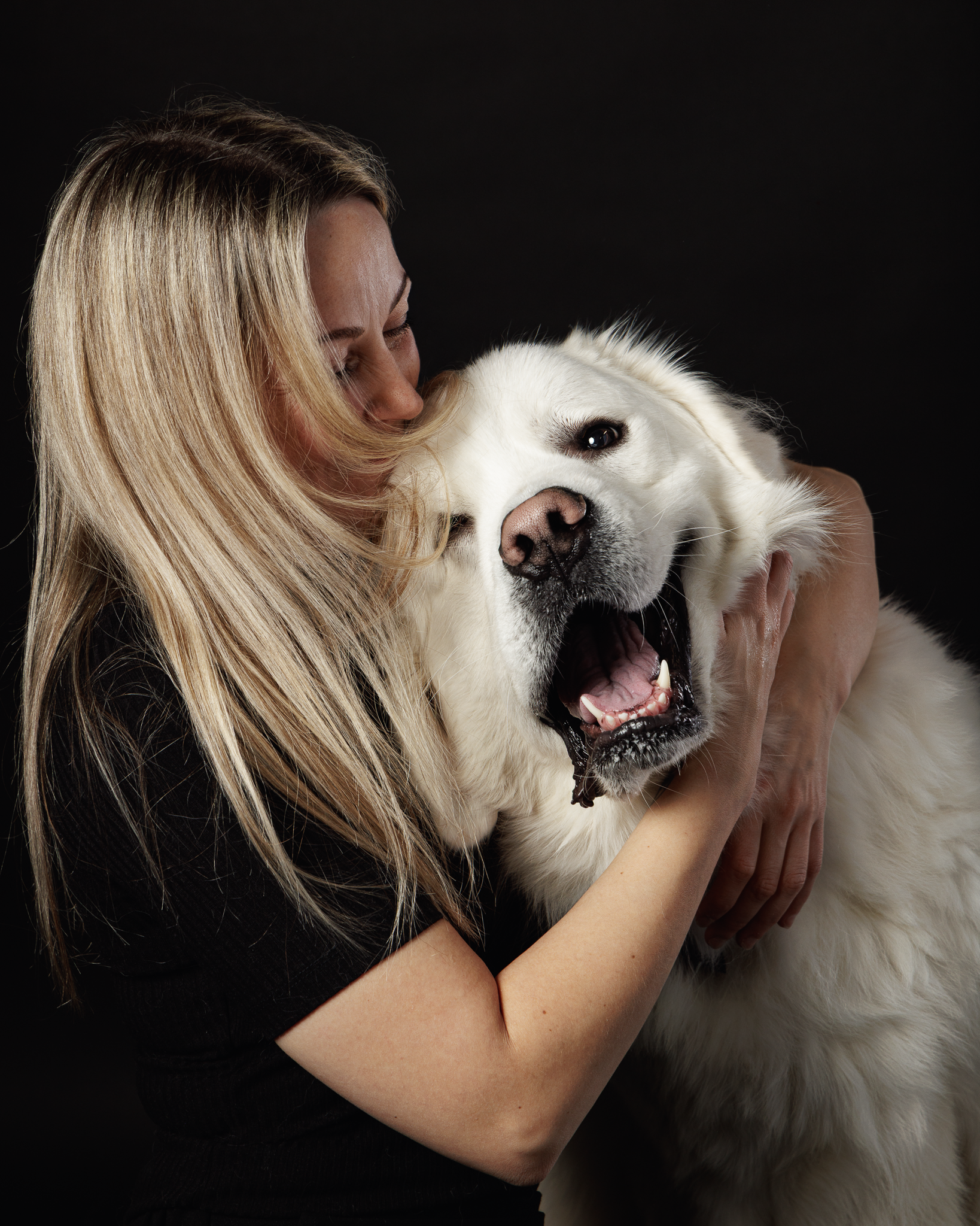 owczarek podhalanski -koirien muotokuvaaja.png