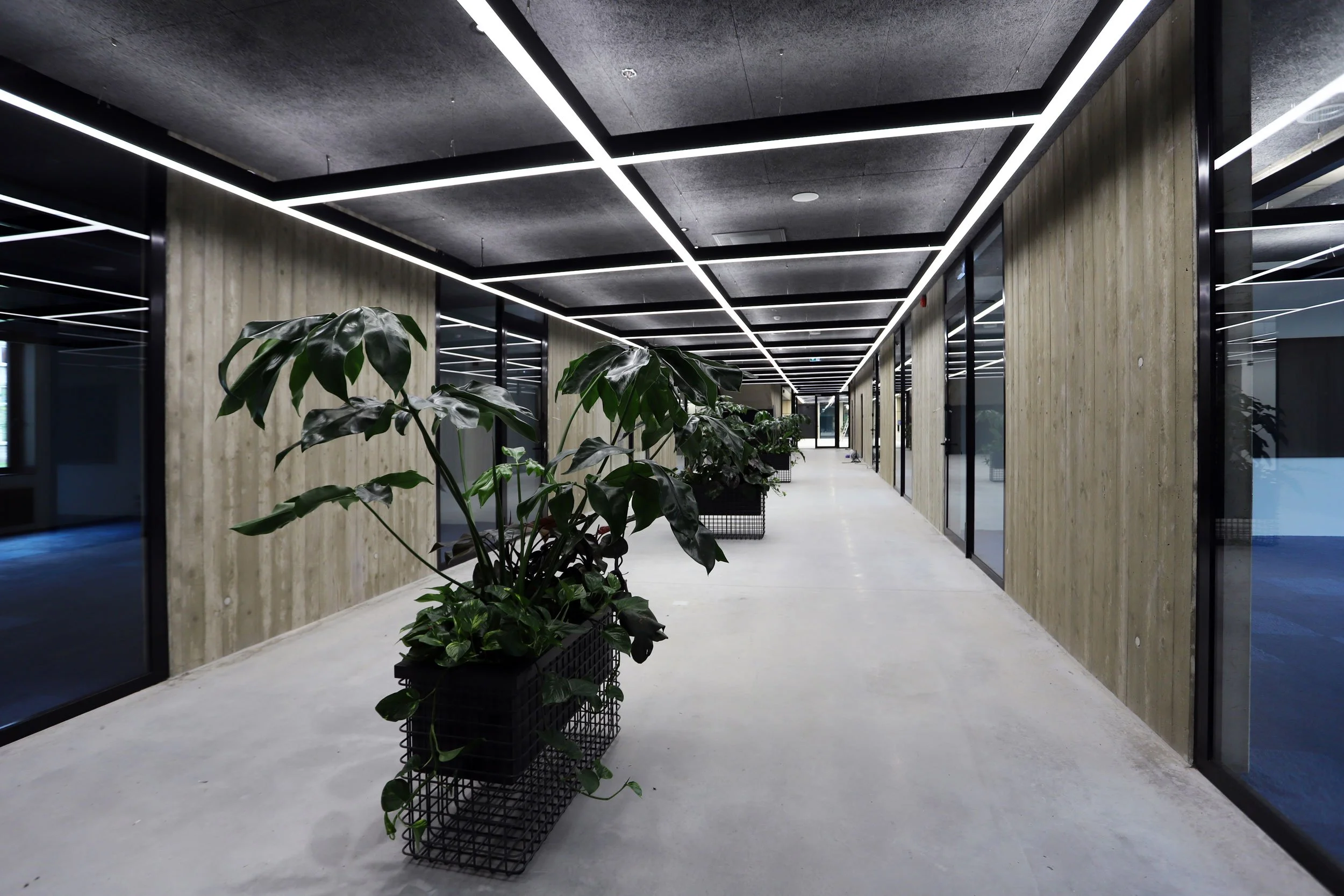 Modern office hallway with plants in metal planters, concrete floor, glass walls, and LED ceiling lights.