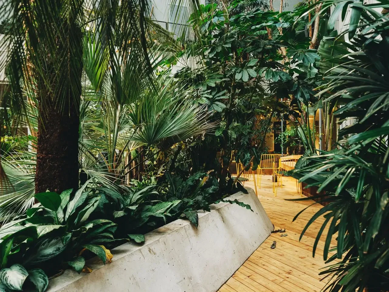 Indoor garden with various tropical plants and a wooden walkway, surrounded by lush greenery and yellow chairs in the background.