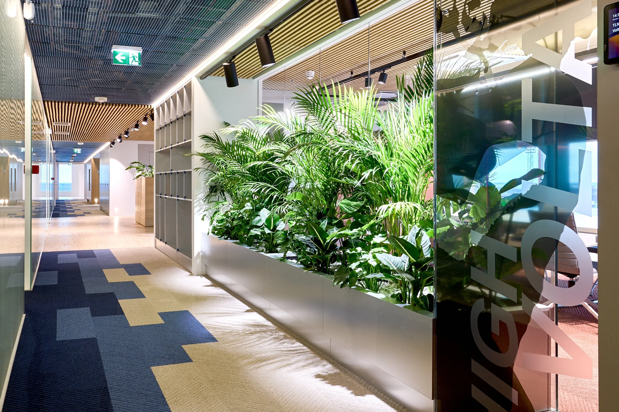 Modern office hallway with indoor plants and geometric carpet pattern