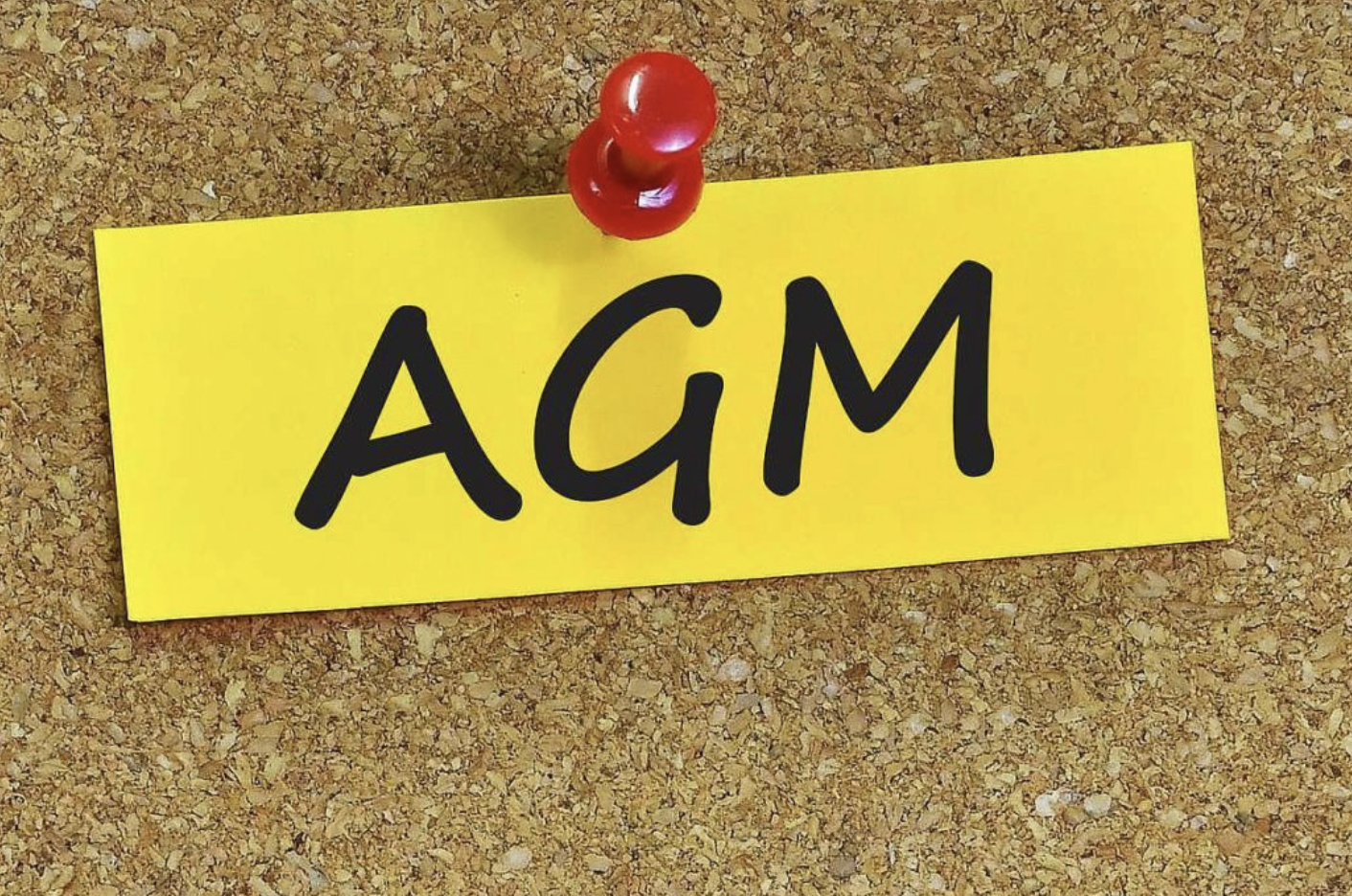 Batheaston New Village Hall AGM