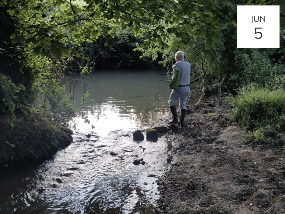 From the River to the Trees