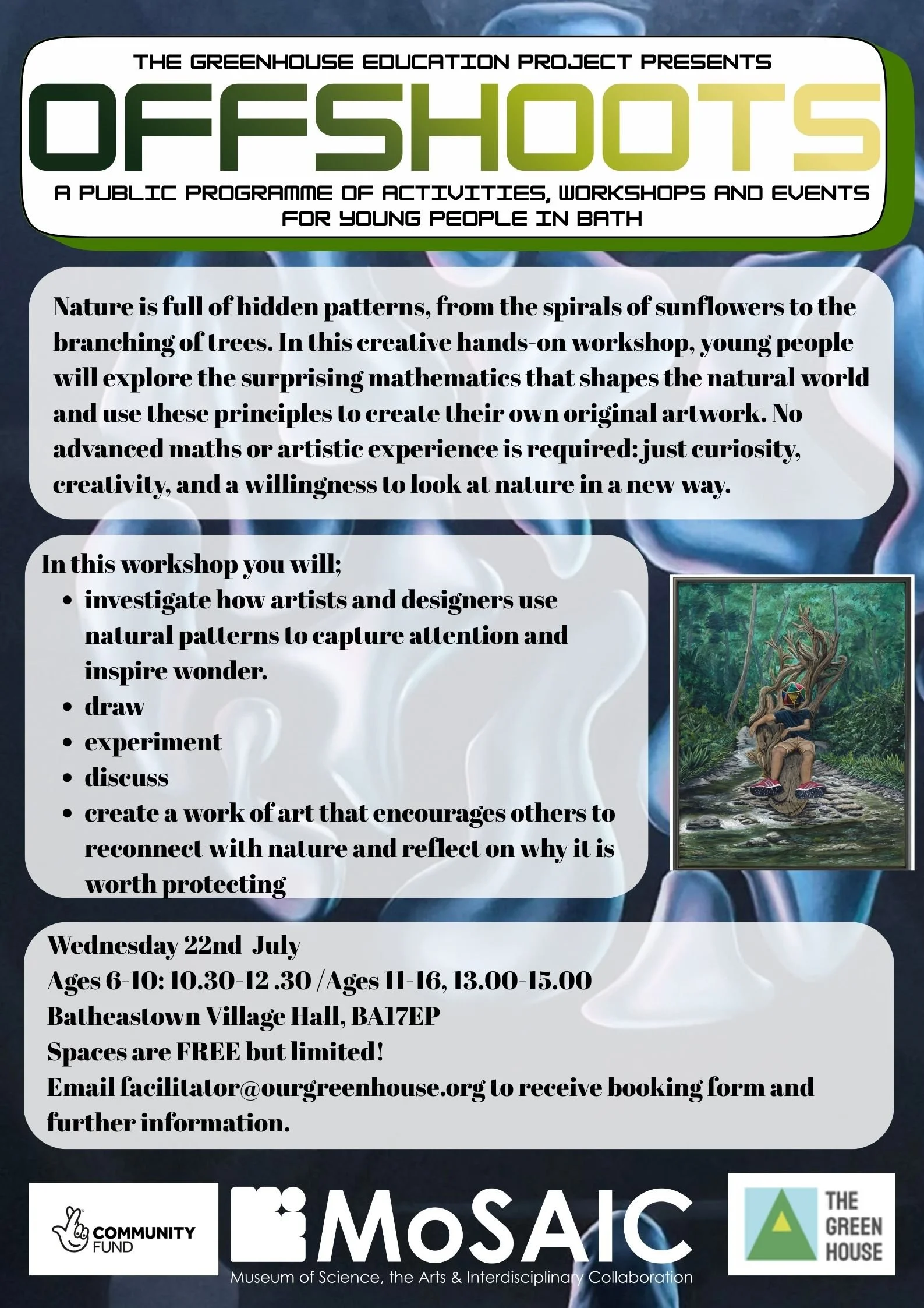 Offshoots workshop - Patterns in Nature - ages 6-10