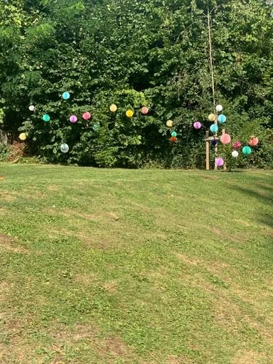 74a310c2-85f3-4e2b-b300-a6a486220535JPG.jpg