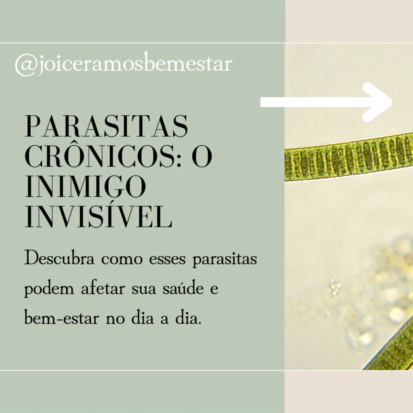 Voc&ecirc; j&aacute; parou para pensar que aquela fadiga sem causa, as dores que nunca somem, doen&ccedil;as cr&ocirc;nicas sem explica&ccedil;&atilde;o ou a imunidade baixa podem n&atilde;o ser apenas coisas do dia a dia?
⠀
Os estragos que os parasi