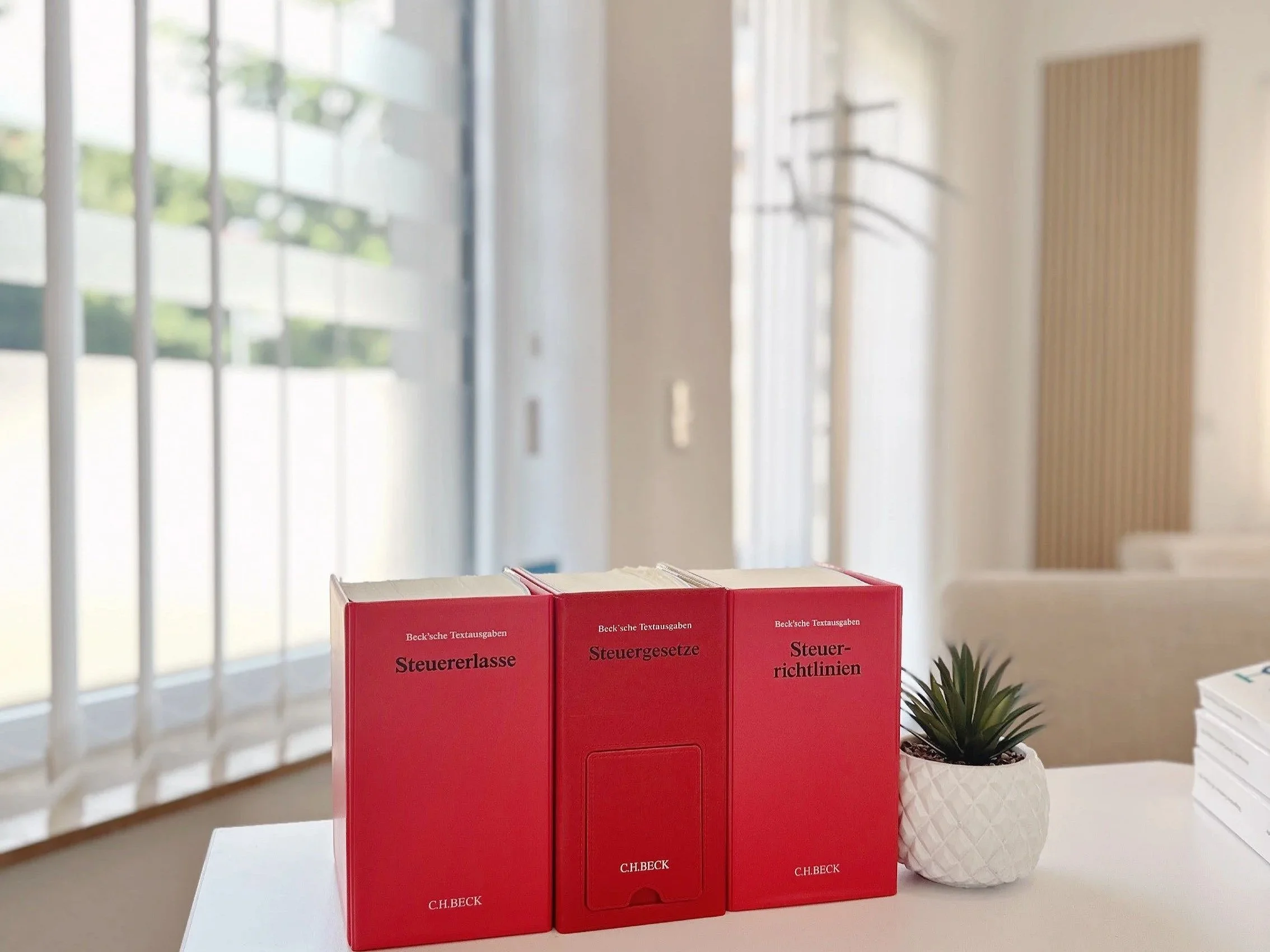 Drei rote Bücher mit Titeln zu Steuerrecht, daneben eine kleine Topfpflanze, auf einem weißen Tisch in einem hellen Raum mit großen Fenstern.