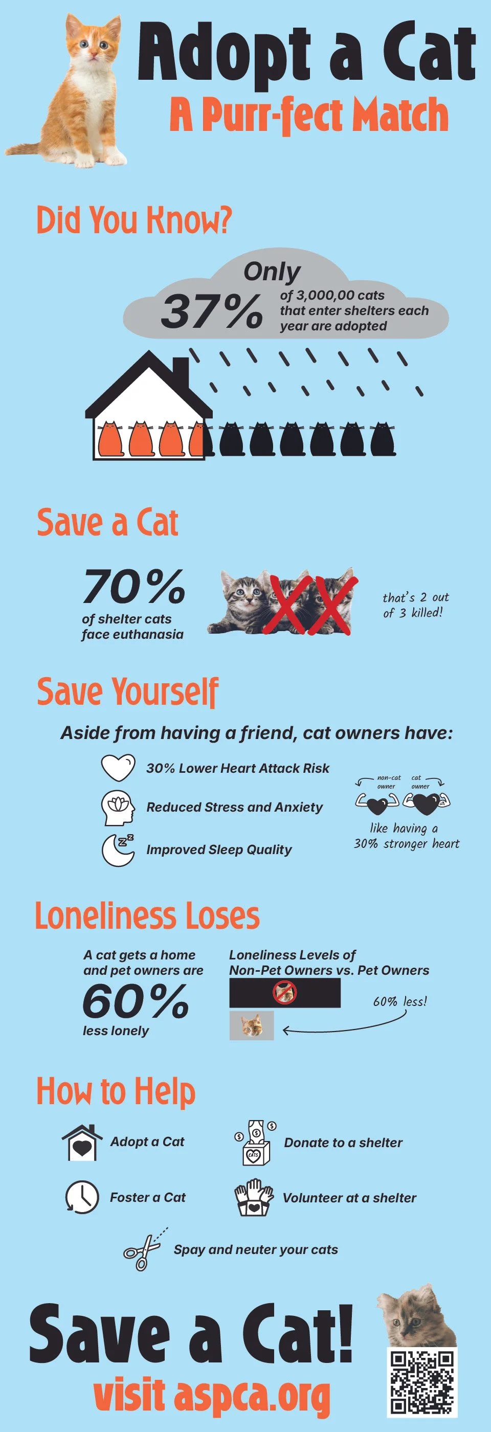 Adopt A Cat Campaign Infographic