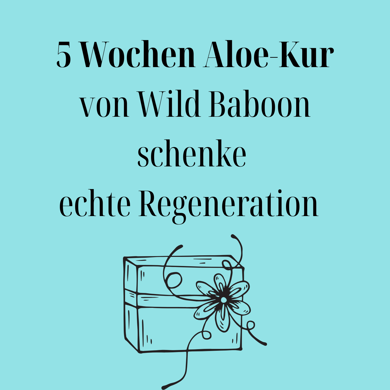Aloe Vera Kur von Wild Baboon – eine Einladung, sich gut zu tun