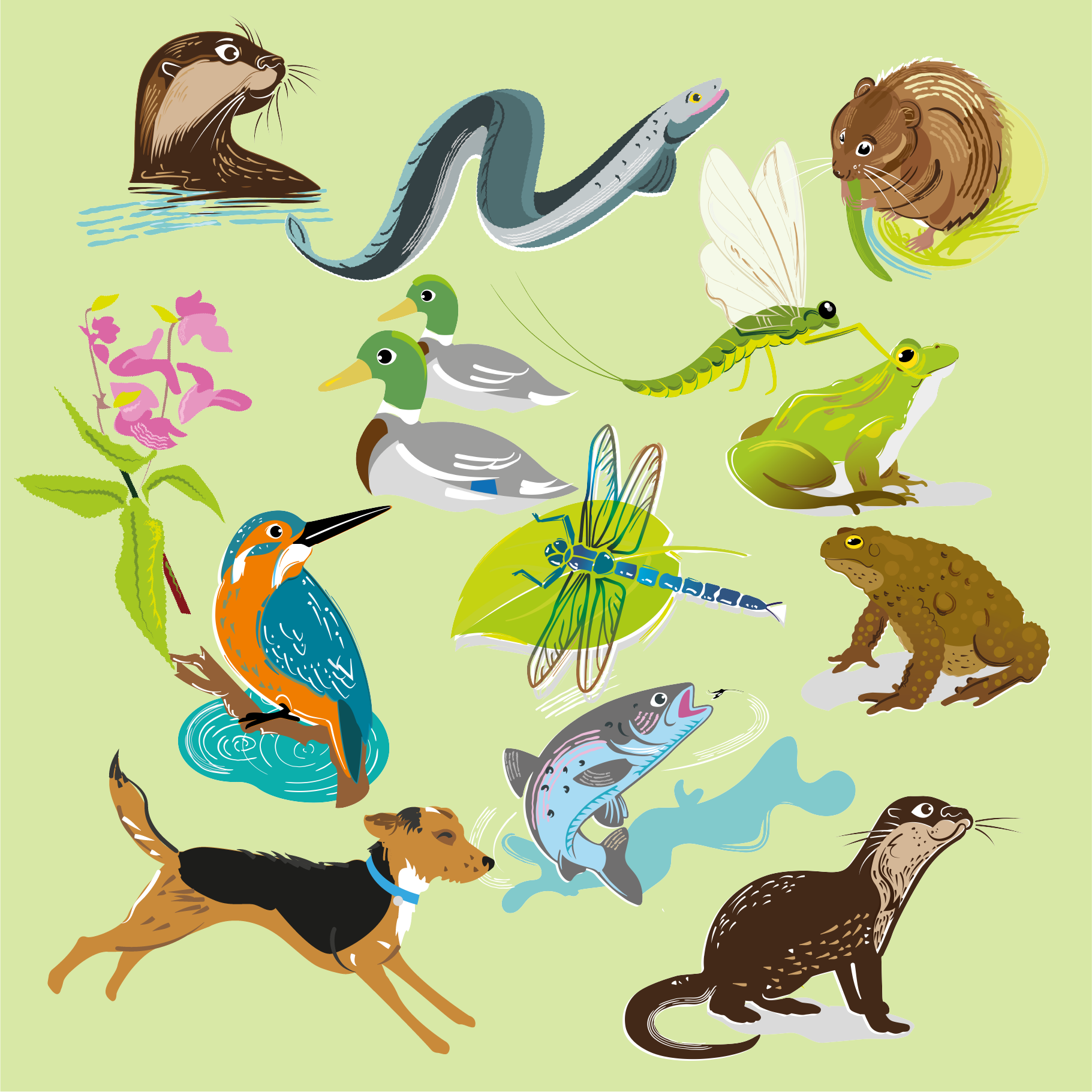 ECP River Giant Board Game