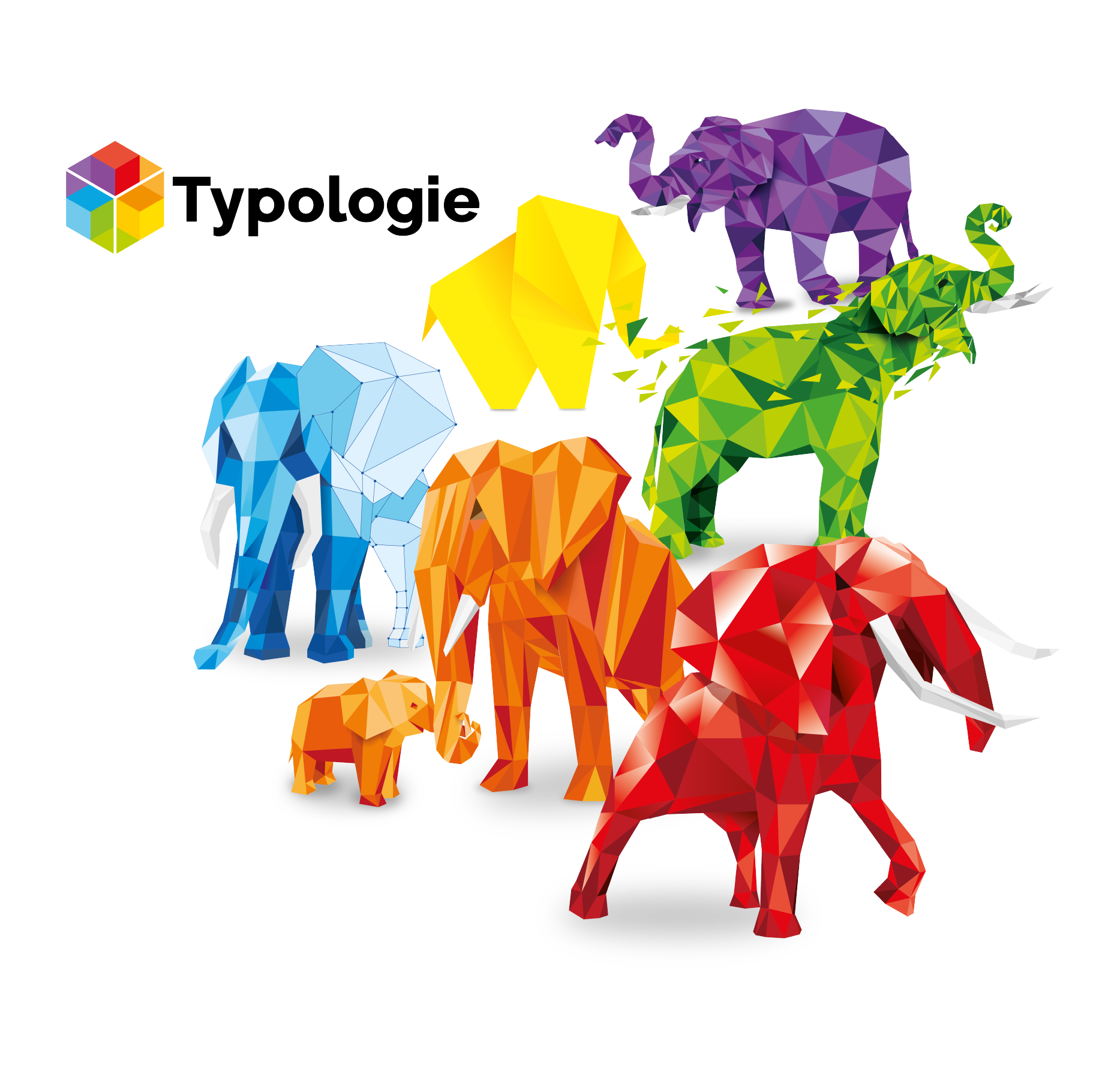 Typologie Identity System