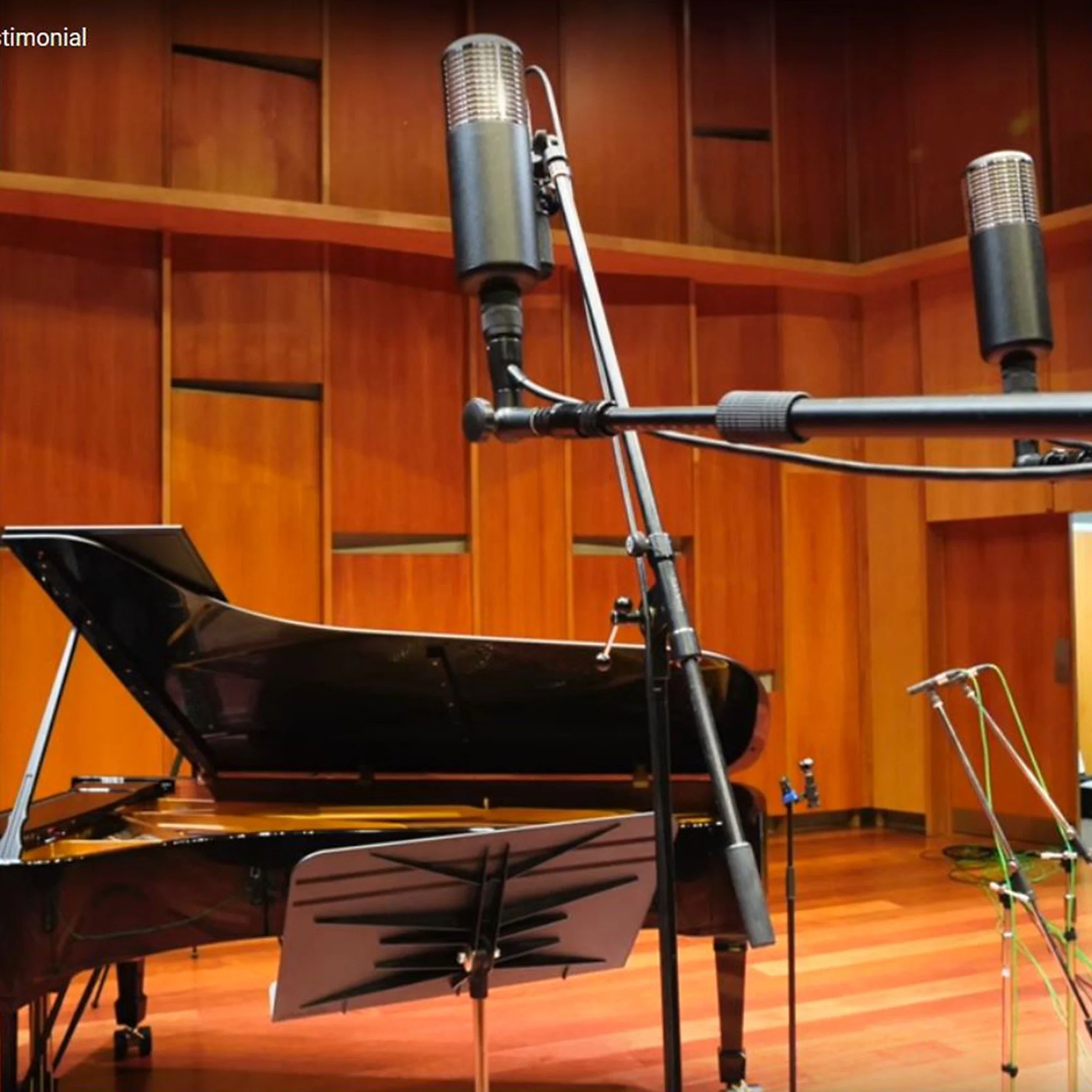 https://www.youtube.com/watch?v=9SNsfknI03E
2 Horch RM3 tube microphones at Craig Field / Underwood Studios in use for classical recordings with grand piano and vocals. 
Location: The Piano: Center for Music and the Arts Christchurch New Zealand
#rec