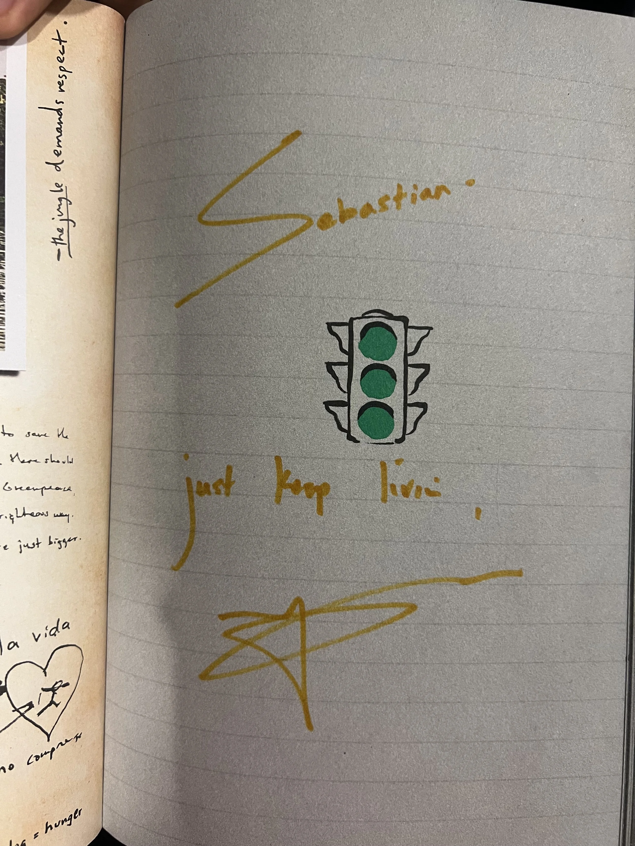 Mi copia de Greenlights.