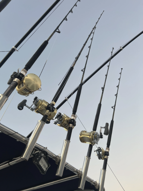 Mapa mental | febrero, 2026.